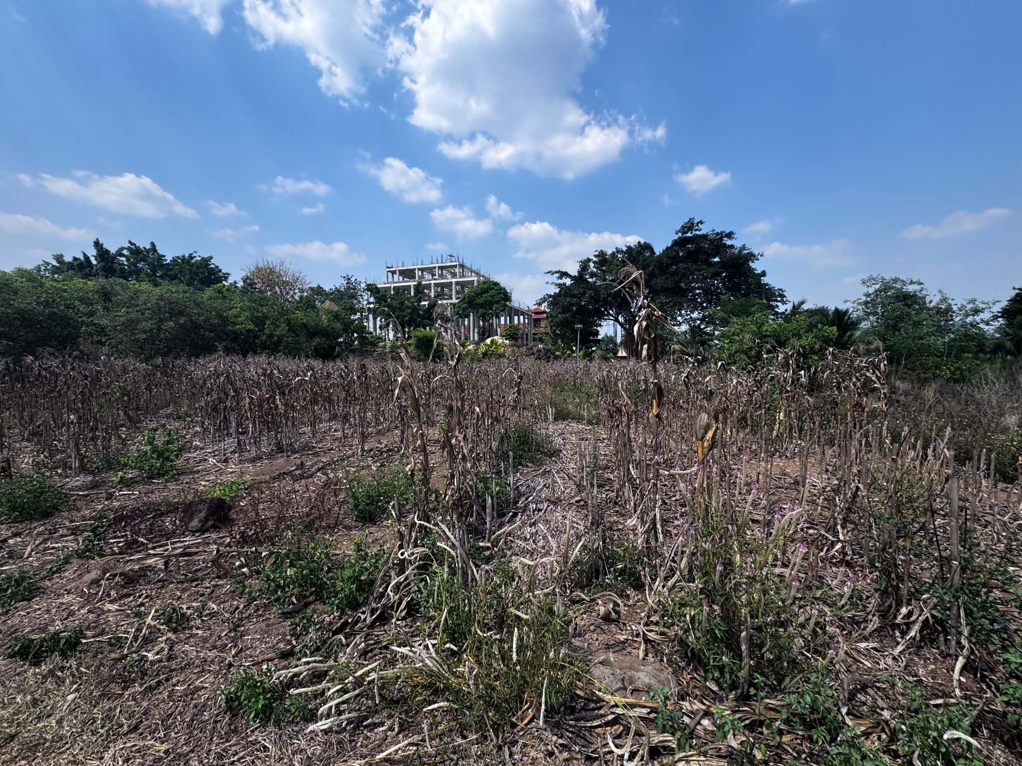 Bán đất Trung Tâm Xã Đak Wil 5 x 45M Tc : 100m2 
Có 5m 10m 15m