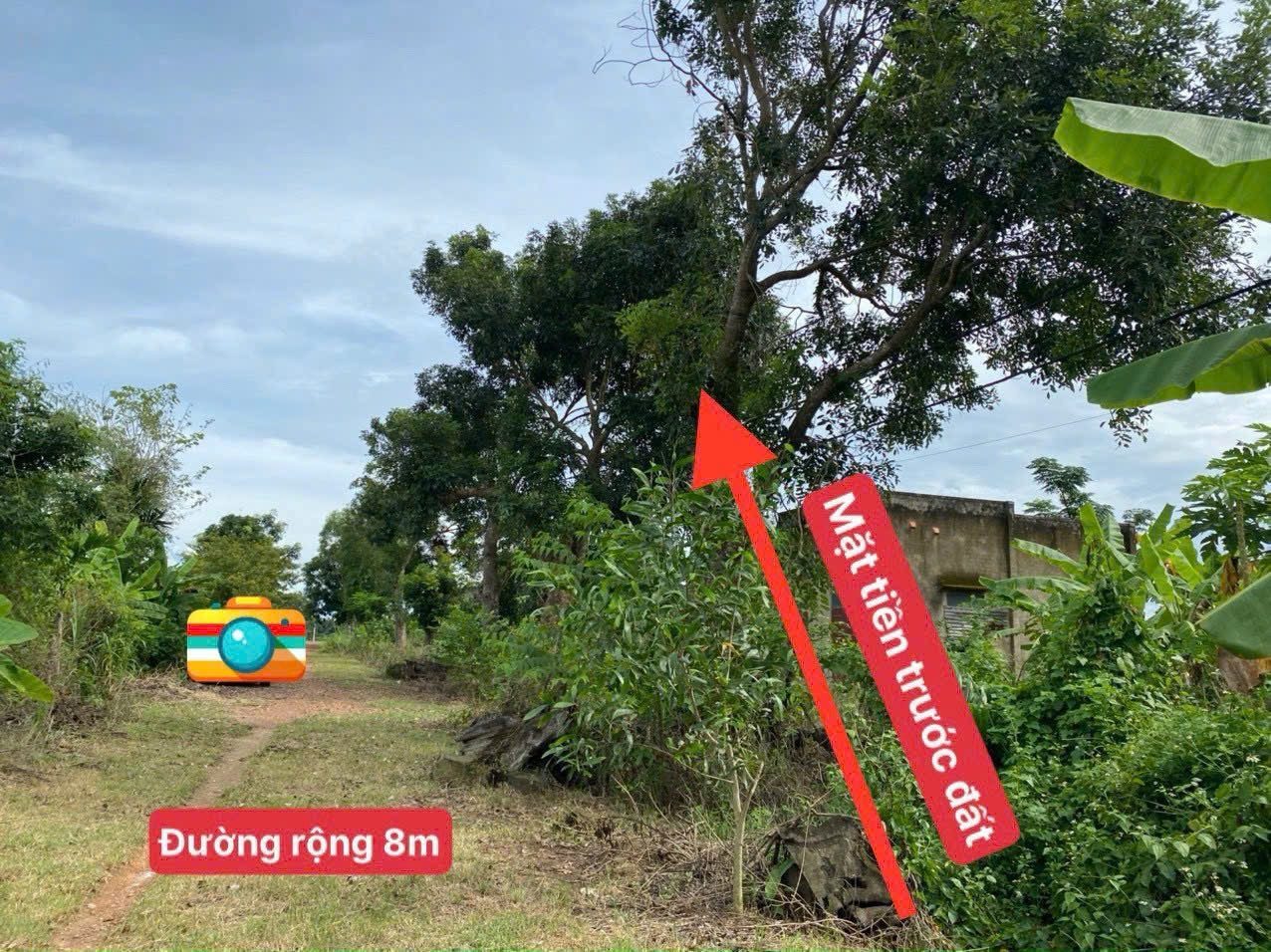 Bán đất 247m² có sẵn 25m² thổ cư ngang 10m giá 299 triệu tại Xã Đắk Wil