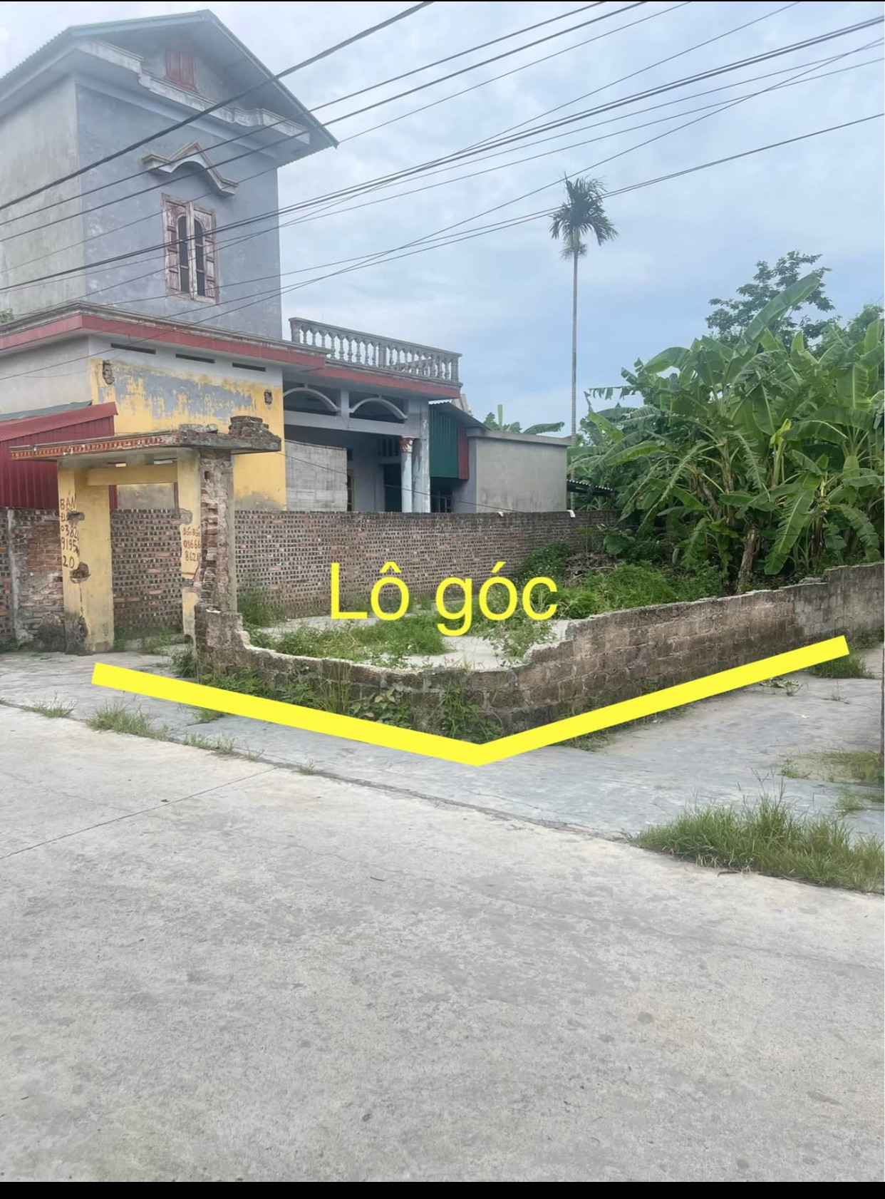 Bán lô góc 147m² giá 1,4 tỷ tại Tứ Kỳ – gần QL37, full thổ cư, sổ đỏ