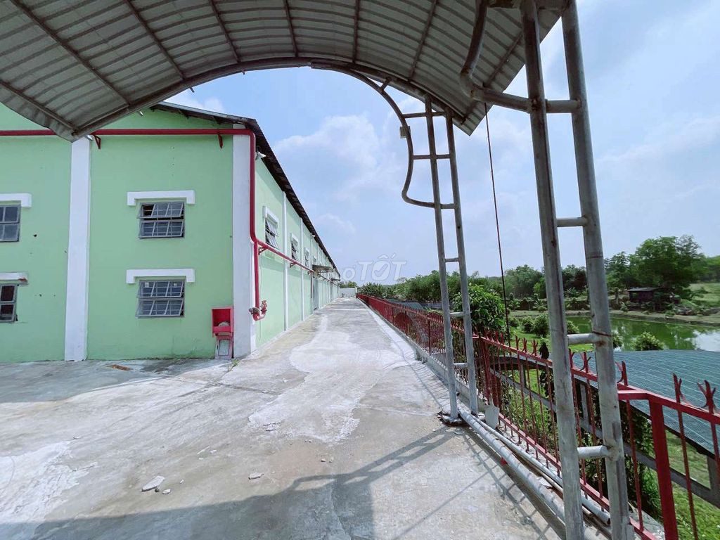 Cho Thuê Xưởng Đất Quốc Tân uyên Bình Dương