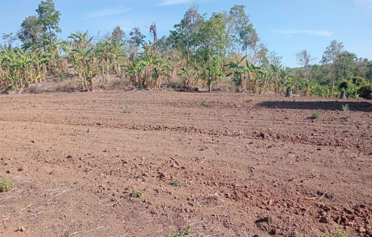💥 8,8ha đất trống đã có sổ đầy đủ