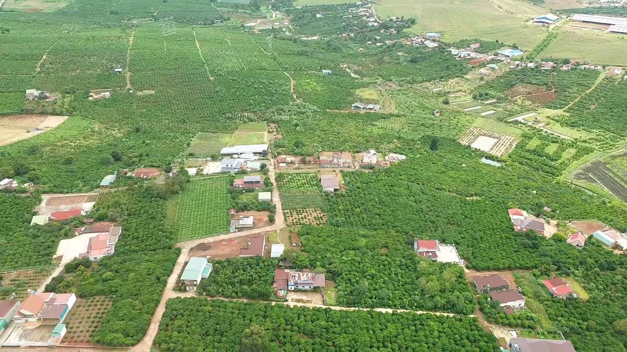 Bán đất 3544.6m² ngang 28m Xã Di Linh
