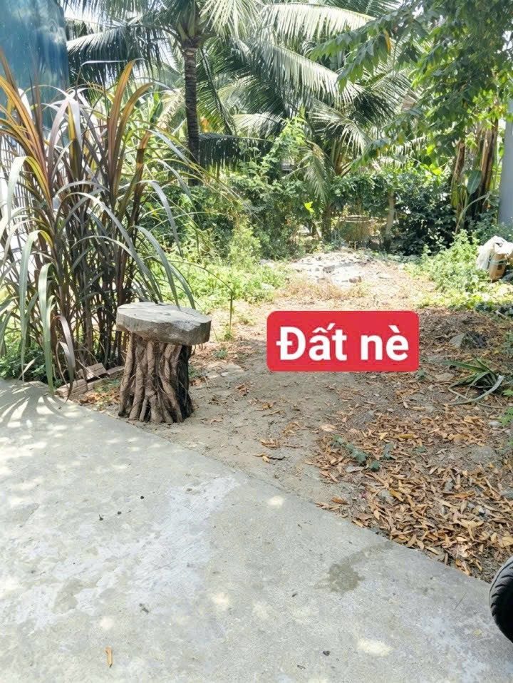 ĐẤT PHÚ ÂN NAM 3 DIÊN AN 78,9M² FULL THỔ CƯ – CÁCH BÀ ĐỀ 200M - 1 TỶ 149