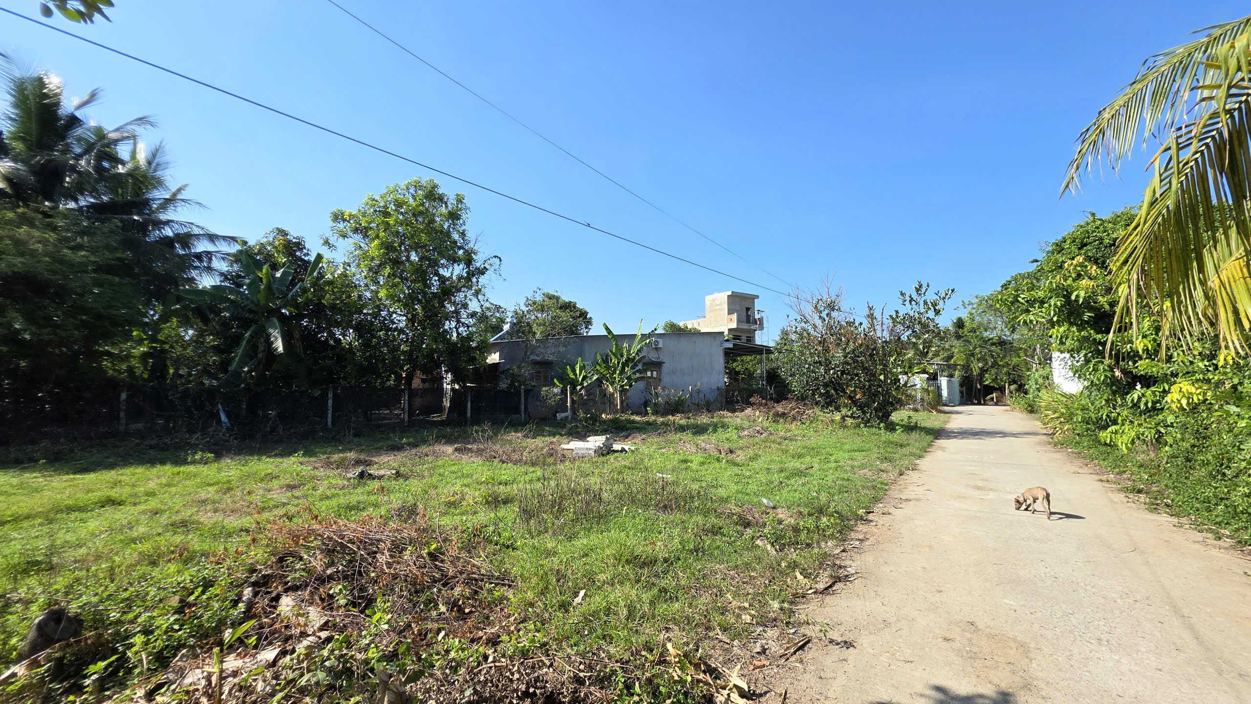 Lô Diên An đường Vạn An, ngang 6m