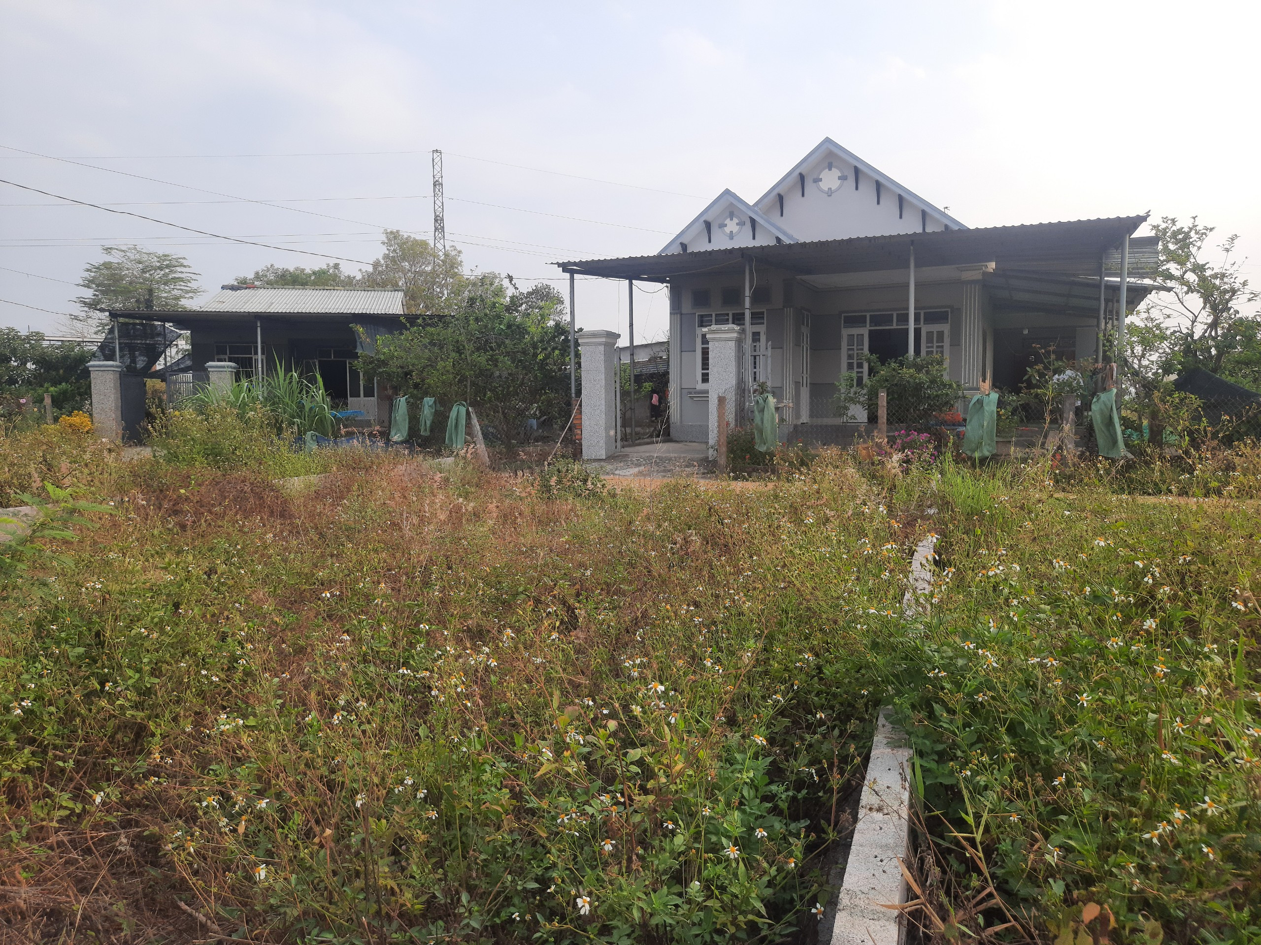 Bán Đất 71m2 có sẵn 71 m2 thổ cư giá 980 triệu tại Xã Diên Hòa Huyện Diên Khánh Khánh Hòa