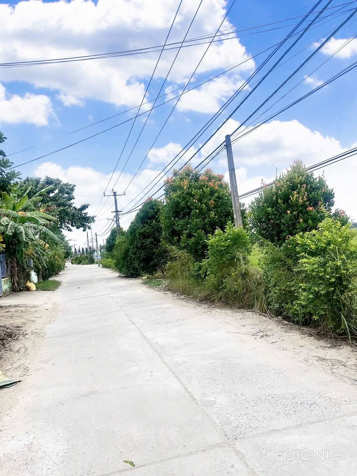 🔥 SIÊU PHẨM CẶP LÔ LIỀN KỀ 300M2 FULL ĐẤT Ở - SAU CHỢ LẠC THÀNH - GIÁ ĐẦU TƯ 690 TRIỆU/ LÔ