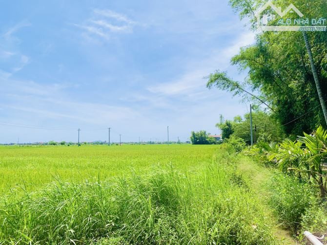 Điện Phương gần View Lúa - Sau Ốc Hạnh - 10p Xuống Hội An - 126m2 - Mt 5m - Oto Tận Nơi - 8xx ( Rẻ )