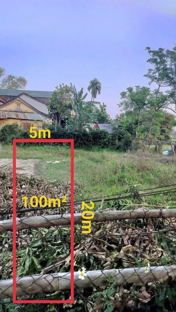 📌📌📌LÀM VIỆC TRỰC TIẾP GIÁ TỐT !!! Bán đất thôn Bồ Mưng 3, xã Điện Thắng Bắc