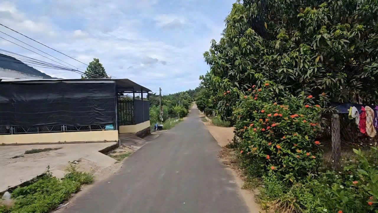 Bán lô đất đường nhựa Diên Xuân( Diên Lâm)