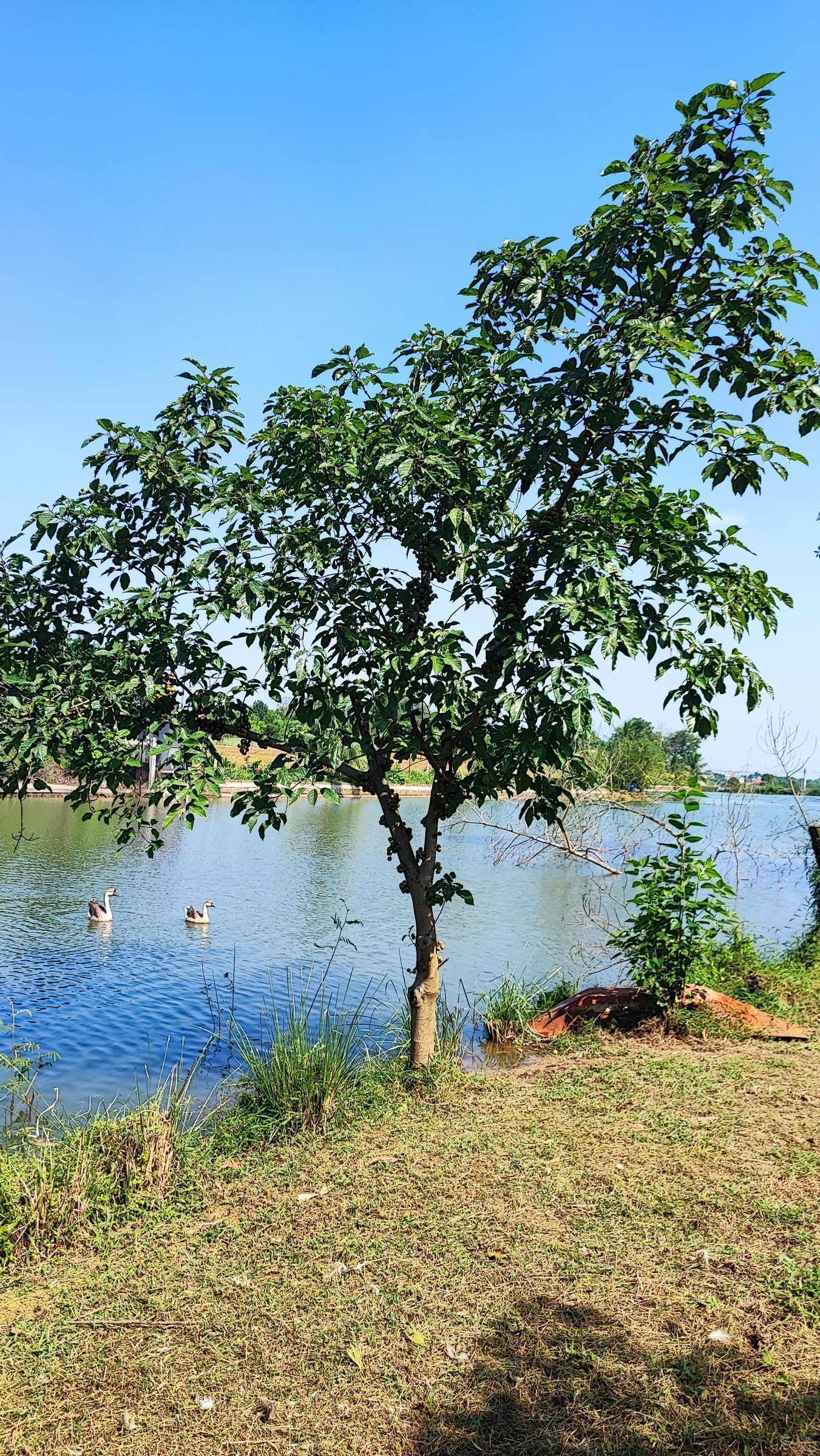 Bán đất 4017m² view hồ tại Xã Đoài Phương (cách khu CNC Hoà Lạc 3km)