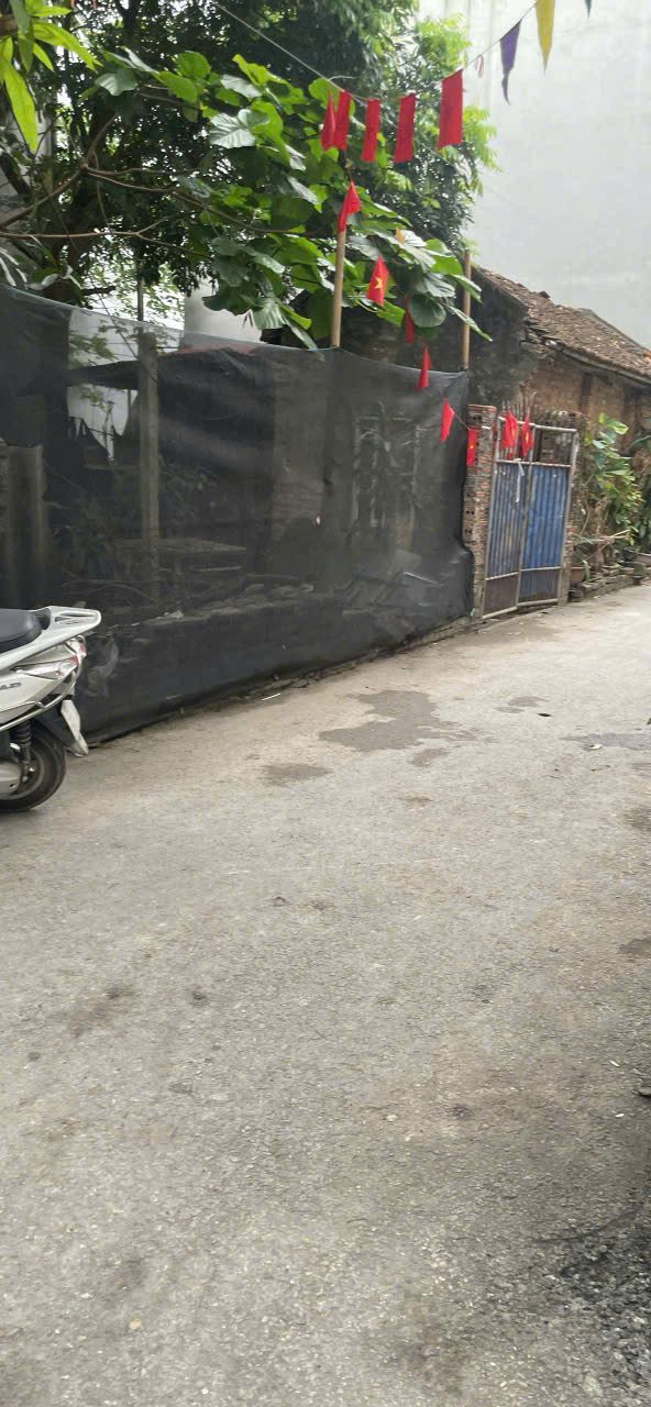 Bán 50m2 đất Phúc Lộc xã Đông Anh đường ô tô tránh nhau thoải mái