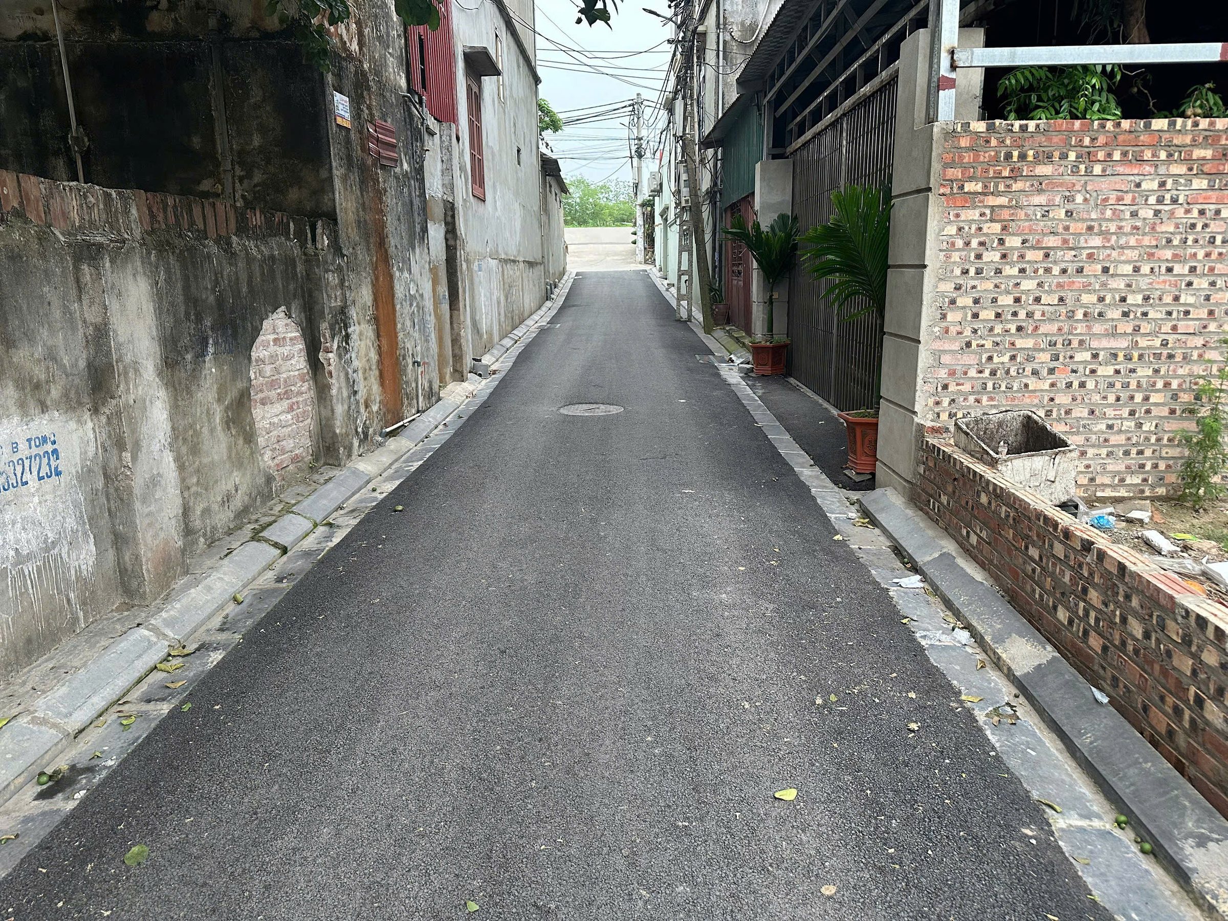 Bán đất Thái Bình Mai Lâm Đông Anh 105m2 - mt7m đường thông ô tô vào tận đất