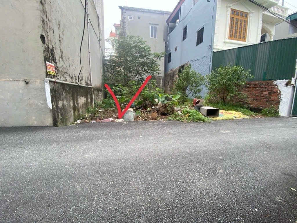 Bán đất Thái Bình Mai Lâm xã Đông Anh 47,6m2 đường thông ô tô giá chỉ hơn 6 tỷ