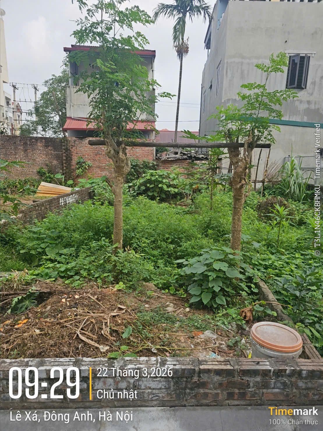 Bán Đất Lê Xá 47,3m² giá 5.2 tỷ tại Xã Đông Anh Hà Nội cách Vin Cổ Loa 1km