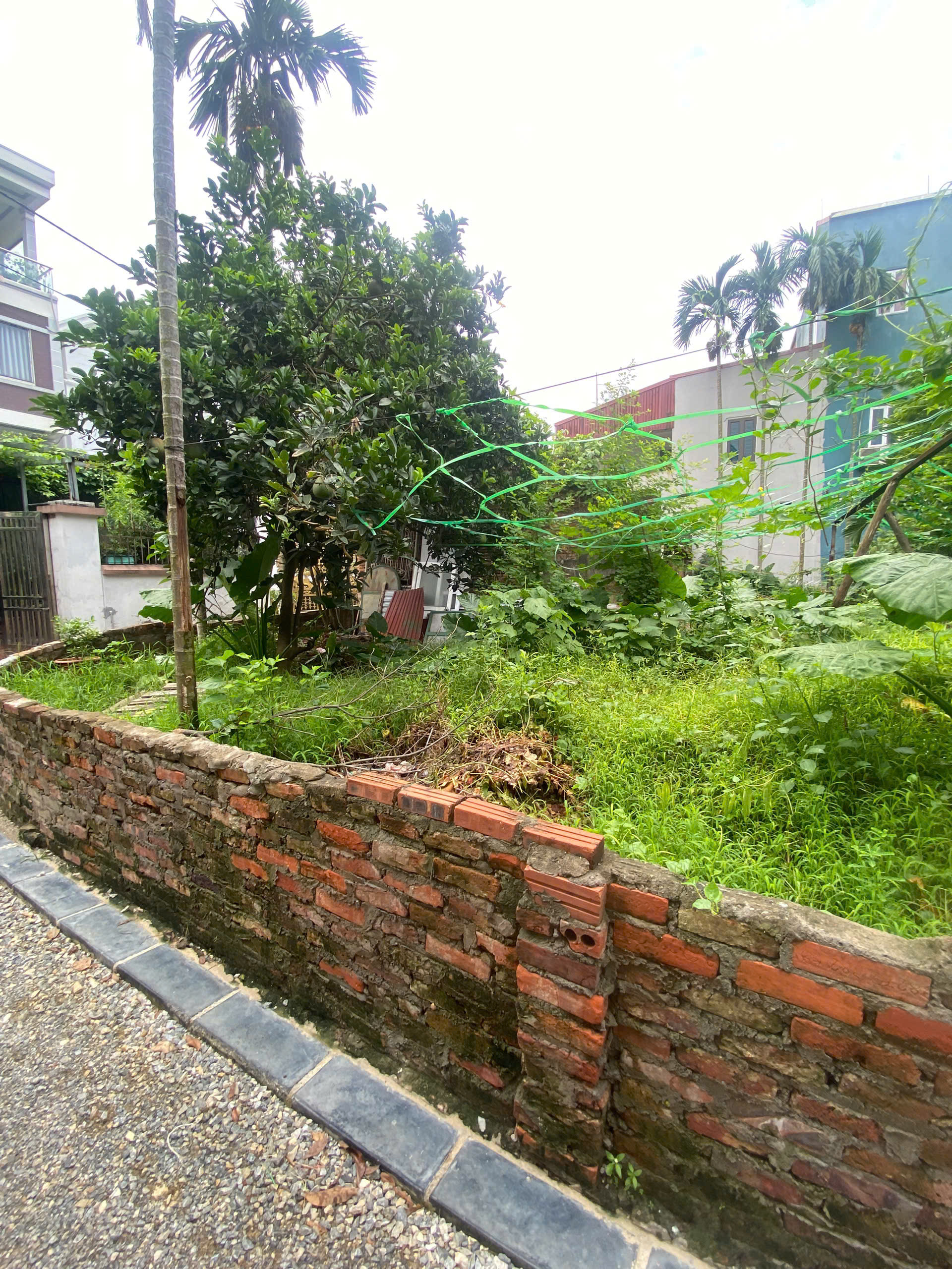 Chính chủ gửi bán 90.6m2 lô góc xóm Ngoài - Uy Nỗ - Đông Anh. ô tô vào
