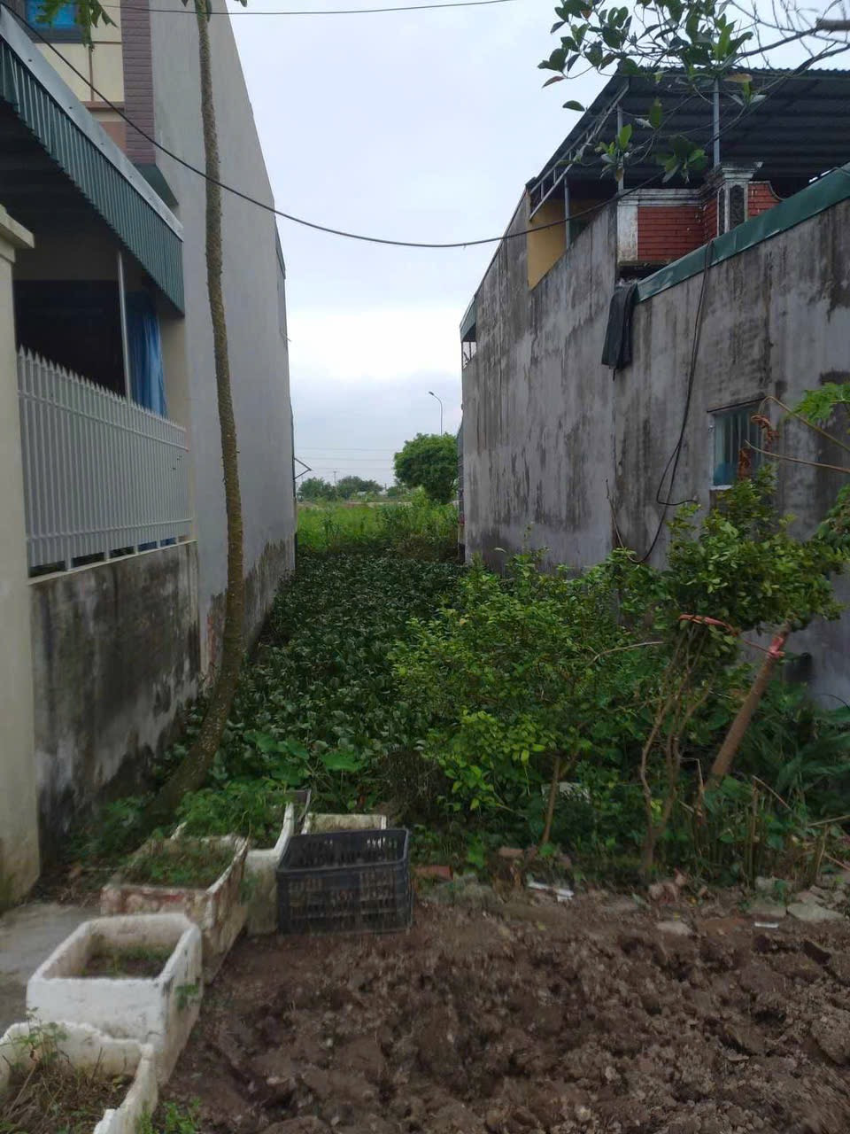 Đất thổ cư mặt đường,Diện tích 100m2,Tiện ở và cho thuê