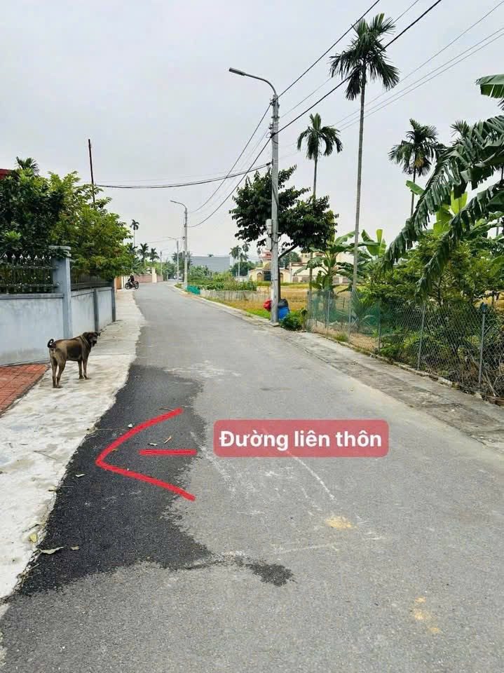 🎉🎉🎉CHỈ CÒN DUY NHẤT 1 LÔ GIÁ MỀM TẠI ĐÔNG SƠN.l/h:076,231.9990 em Thuý

🍀TDP 6 (Đông Sơn cũ) – phường Lưu Kiếm, Thuỷ Nguyên
 • Diện tích: 59,9m² (mặt tiền 5,14m)
 • Ngõ rộng 2 – 2,5m (xe máy tránh thoải mái)
 • Cách đường li
