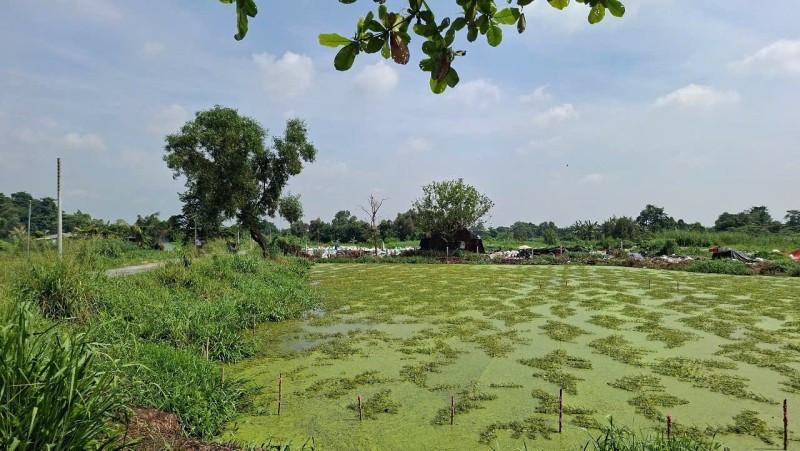 BÁN LÔ ĐẤT 1000M2- GIÁ CHỈ 4 TỶ 030TR-ĐÔNG THẠNH HÓC MÔN-LIÊN HỆ XEM ĐẤT