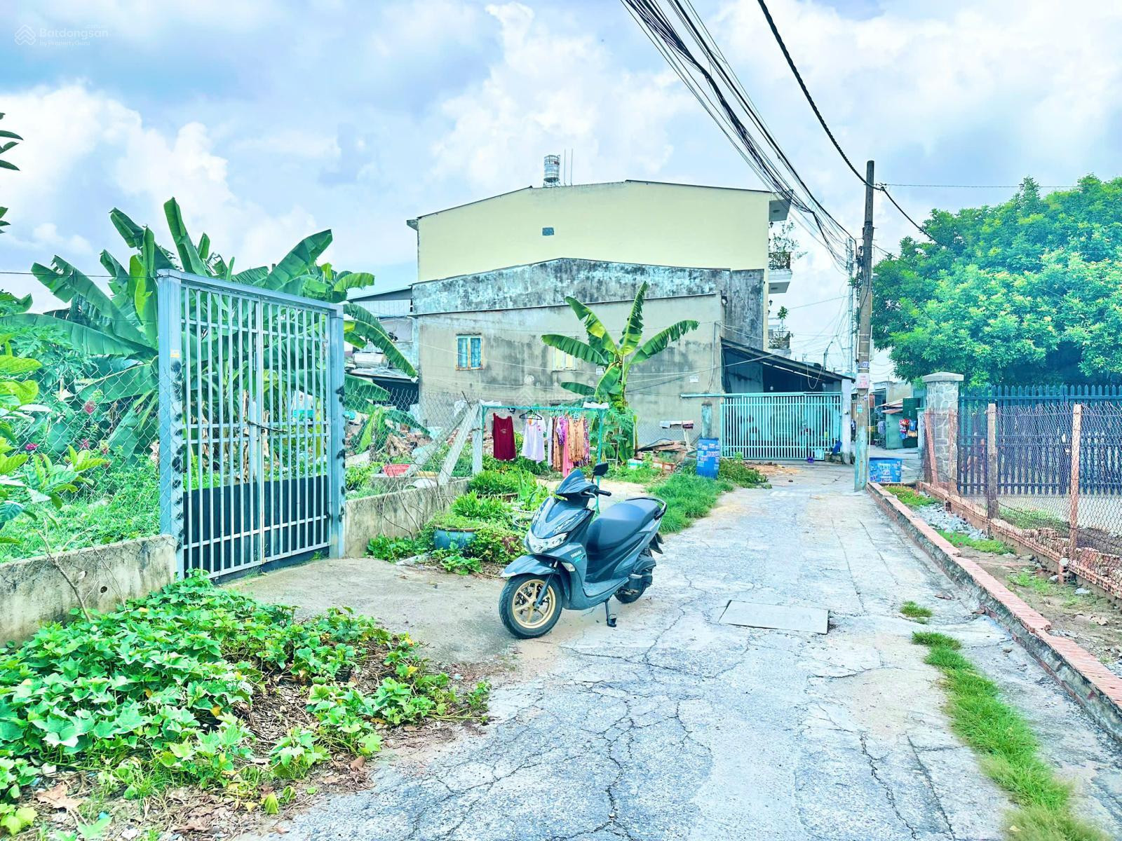 Bán Đất 222m2 có sẵn 222 m2 thổ cư giá 4.3 tỷ tại - Chọn - Xã Đông Thạnh Huyện Hóc Môn TP. Hồ Chí Minh
