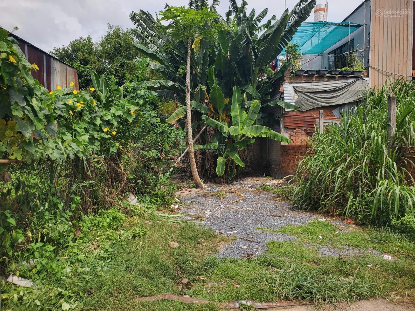 Bán Đất 123.4m2 có sẵn 96 m2 thổ cư giá 3.5 tỷ tại Xã Đông Thạnh Huyện Hóc Môn TP. Hồ Chí Minh