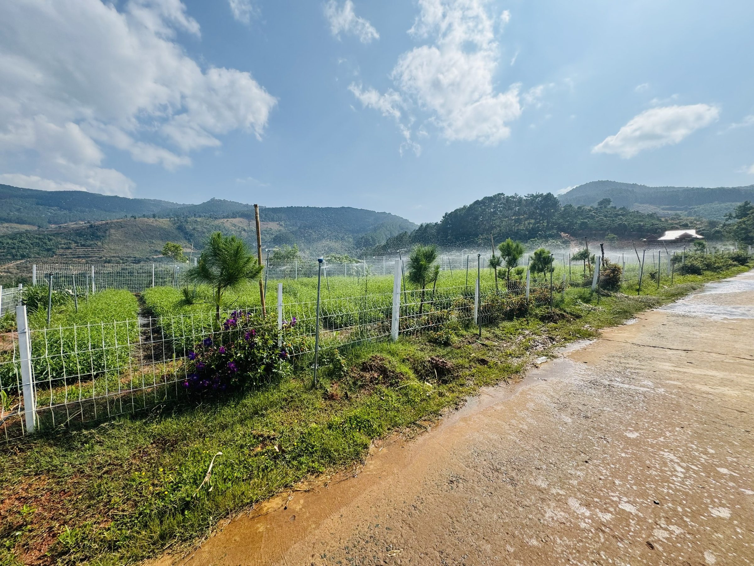 Đất view đẹp, View Panorama, View nhìn về tượng mẹ Quan Âm. Giá 570 triệu. Trọn sổ