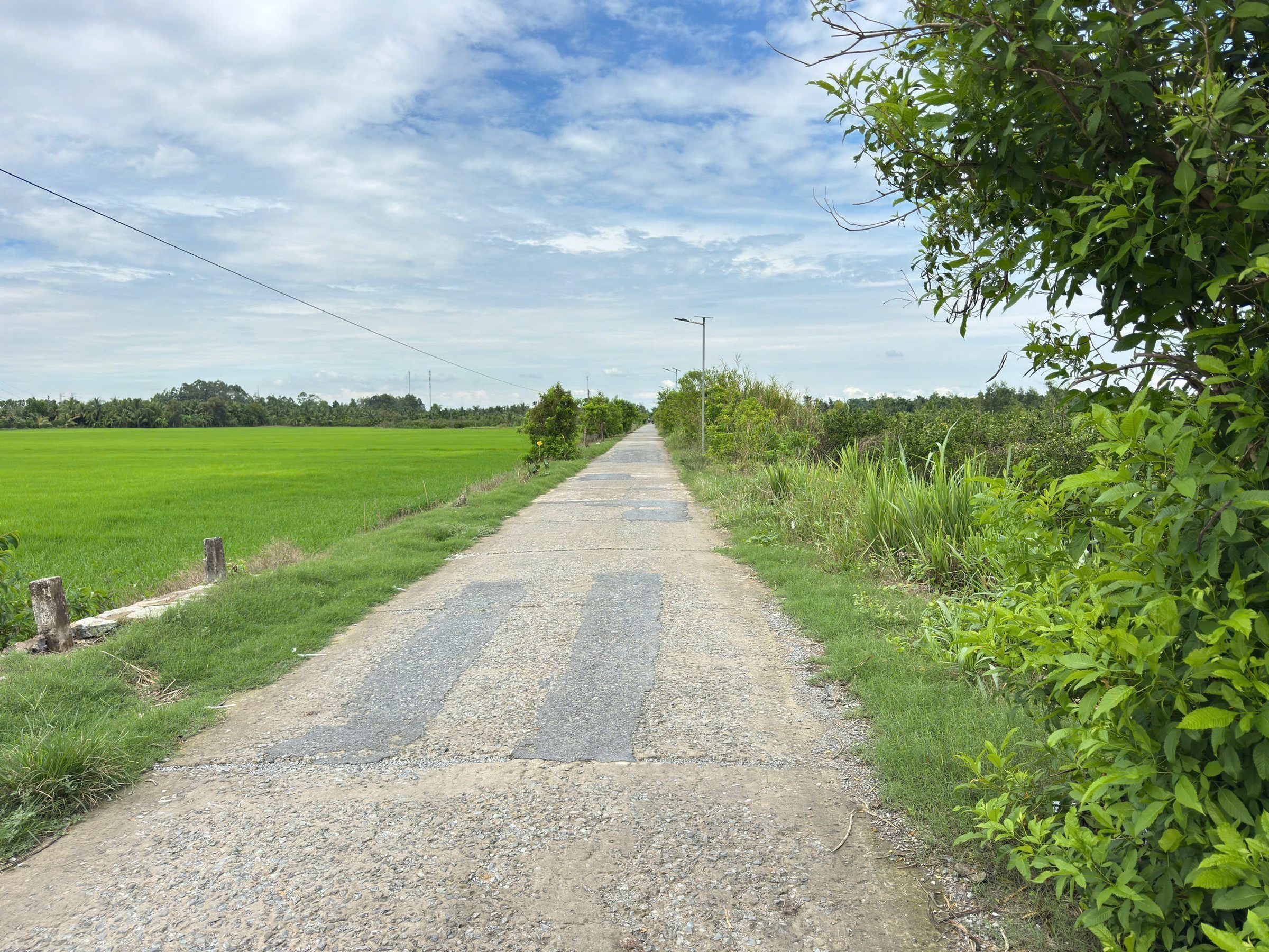 Bán nền cách chợ Hóa Thành vài bước chân - Phường Đông Thành ( TX.Bình Minh cũ), Vĩnh Long Diện tích hơn 300m2