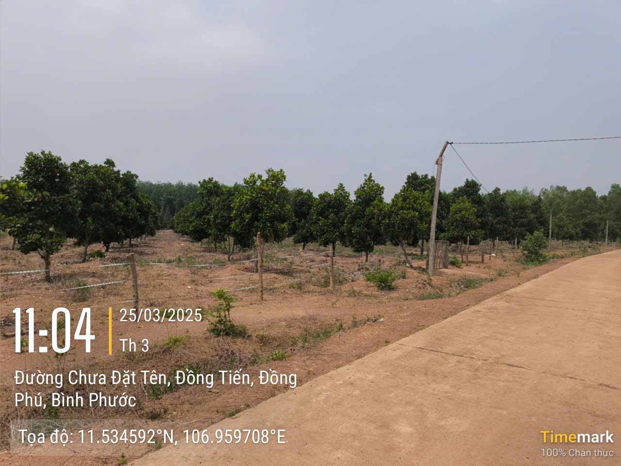 Bán đất 1000m² 370 triệu tại Xã Đồng Tiến Huyện Đồng Phú