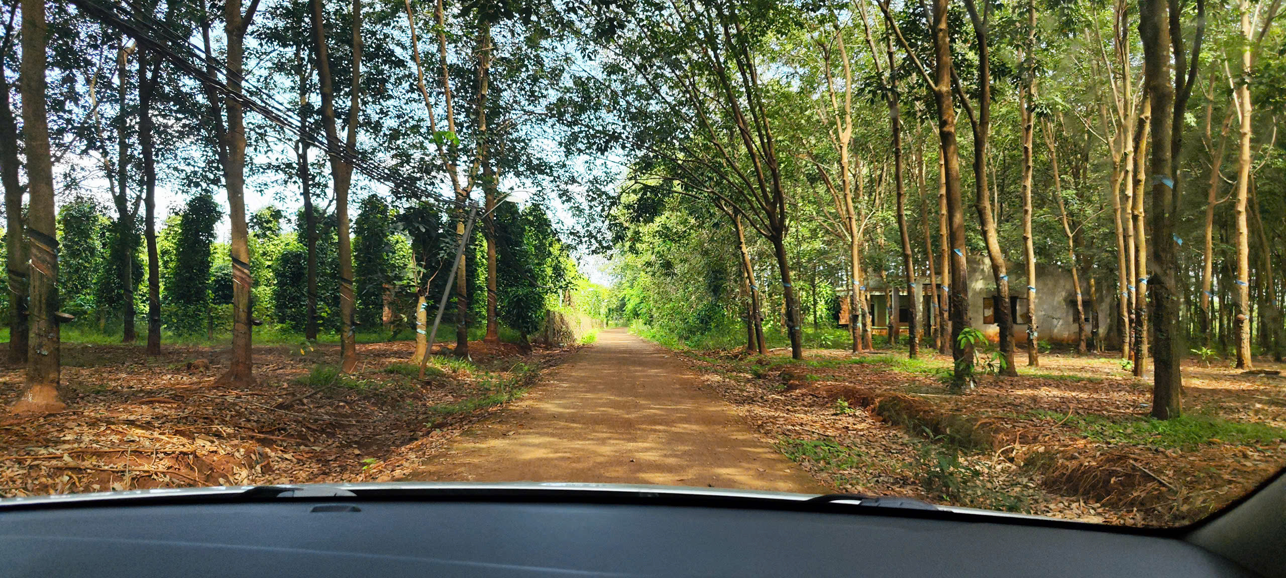 2 sào đất (2000m2) view thoáng, ngay khu dân cư, chủ ngộp cần ra gấp