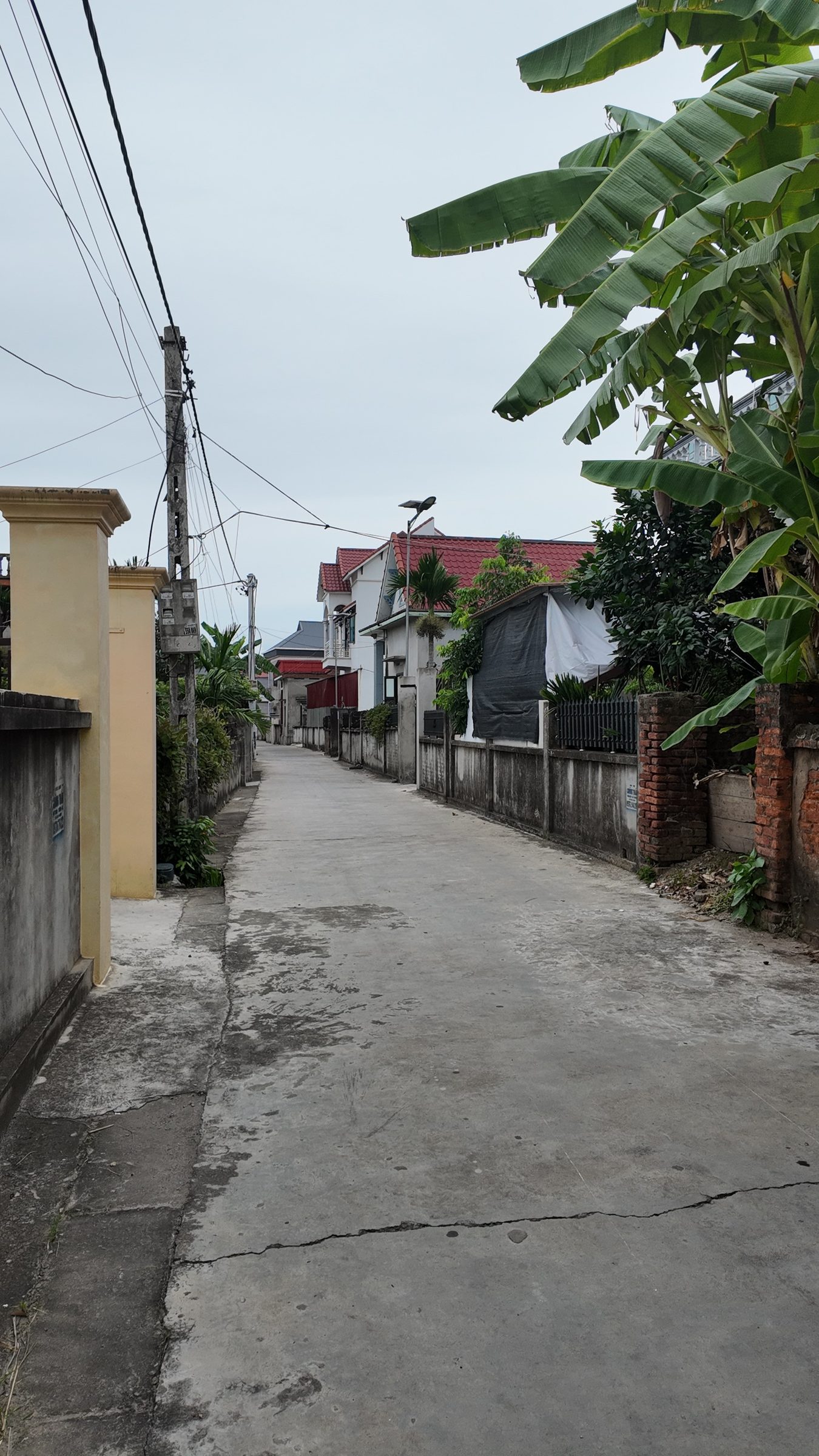 Đất 2 mặt đường, kinh doanh tốt