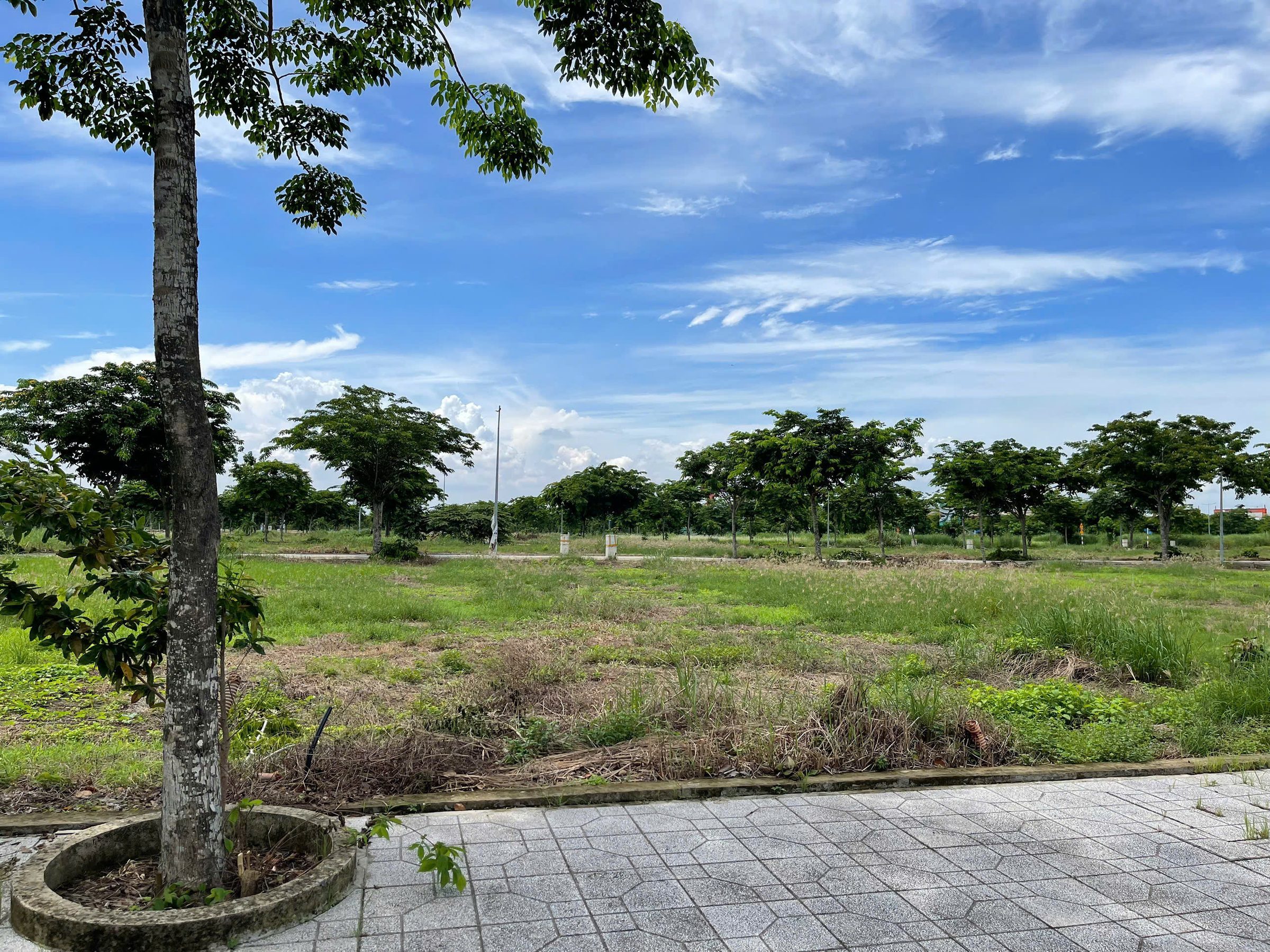 Bán đất 90m² Ora Park giáp Bình Chánh – Sổ hồng riêng – Trả trước chỉ 20%