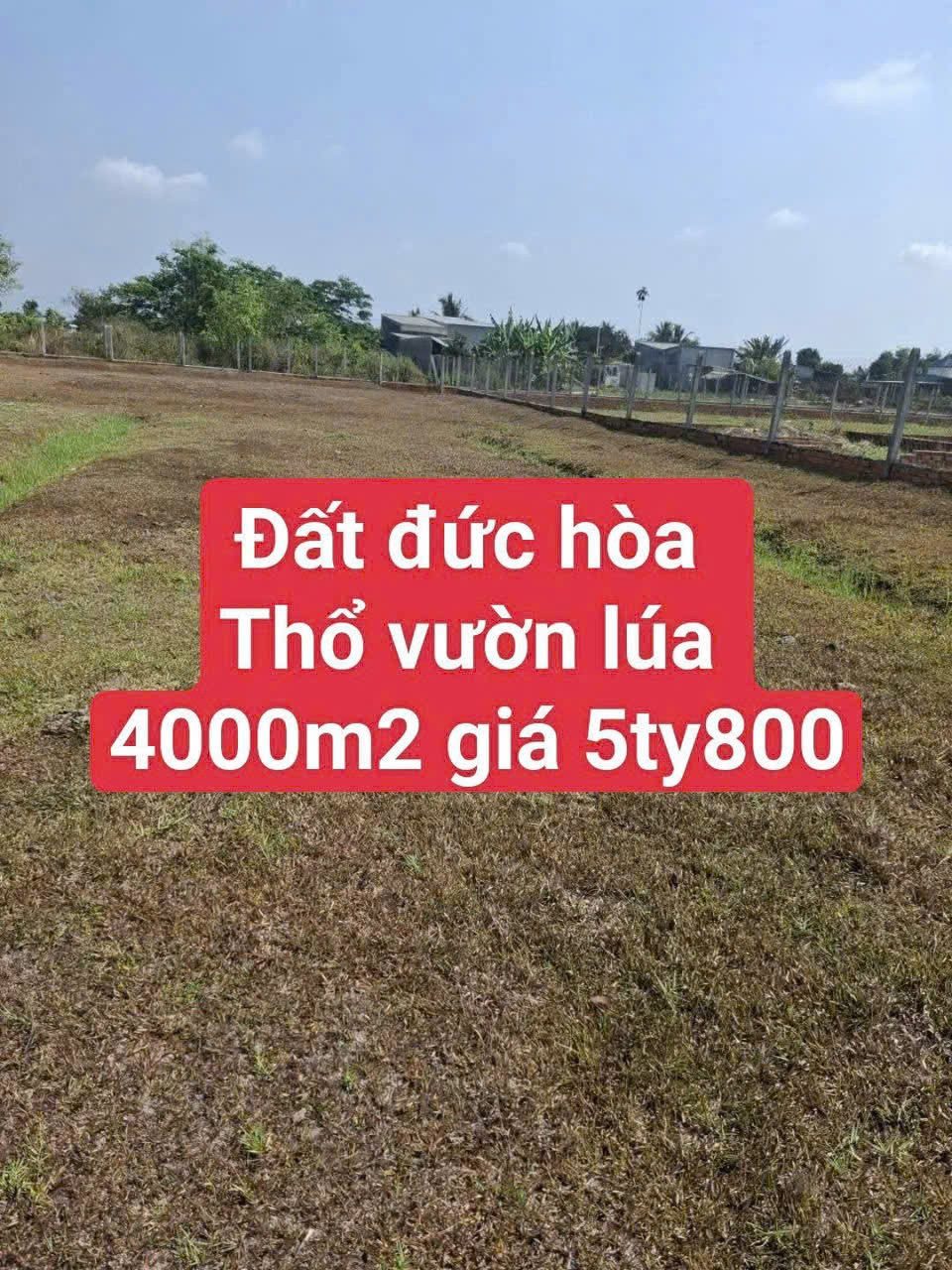 Bán 4000m2 đất ( 350m2 thổ) đường đá xanh xe hơi xã Đức Hòa Thượng, Đức Hòa giá 5,8 tỷ