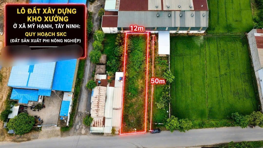 Bán đất 100m² full thổ cư ngang 12m giá 4.9 tỷ tại Xã Đức Lập
