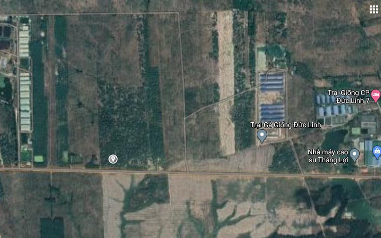BÁN GẤP 5,72 HA ĐẤT CÂY LÂU NĂM – TRÀ TÂN, ĐỨC LINH