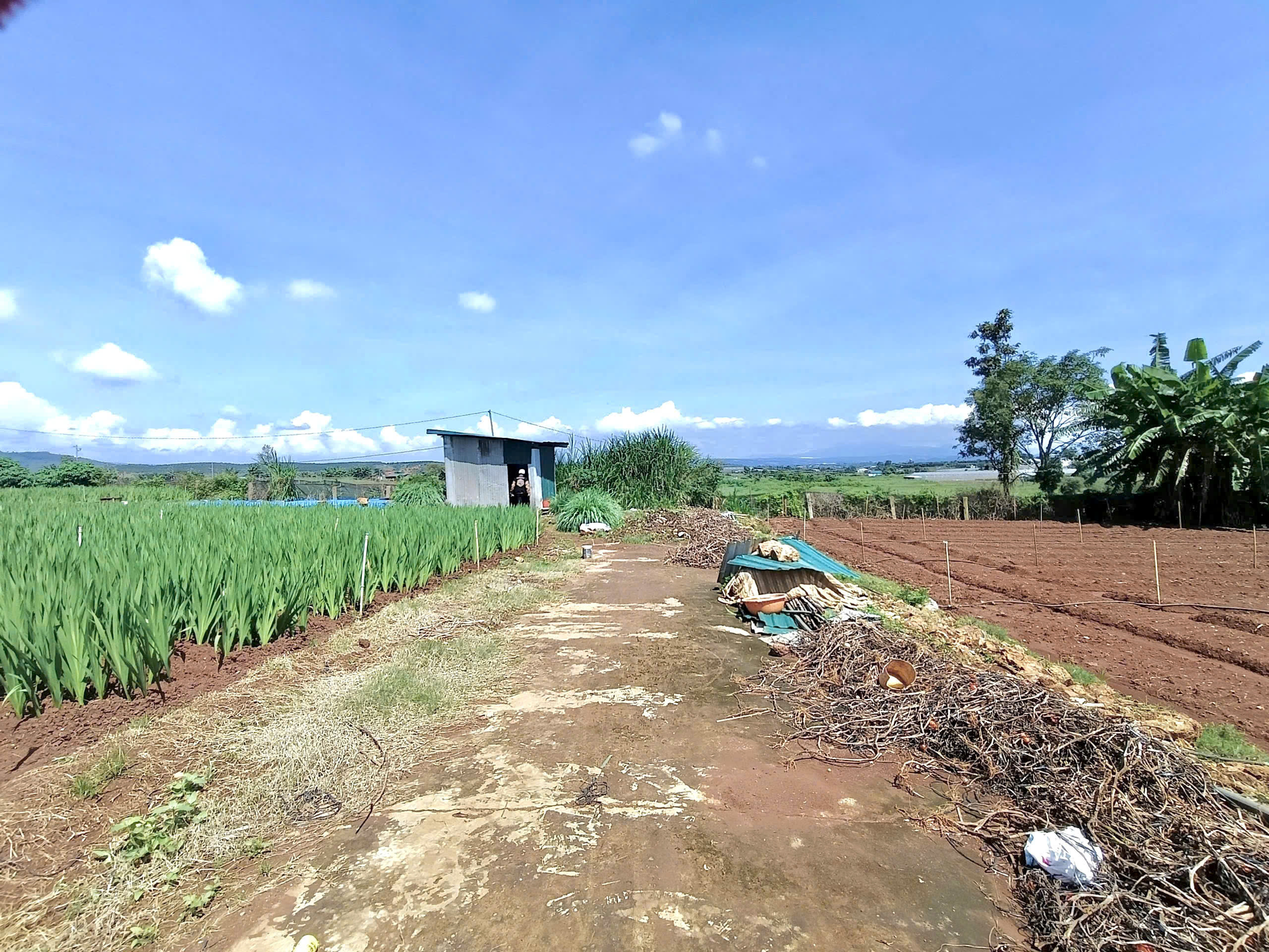 Khu hành chính Đức Trọng - tổ 34. 380m2 thổ cư