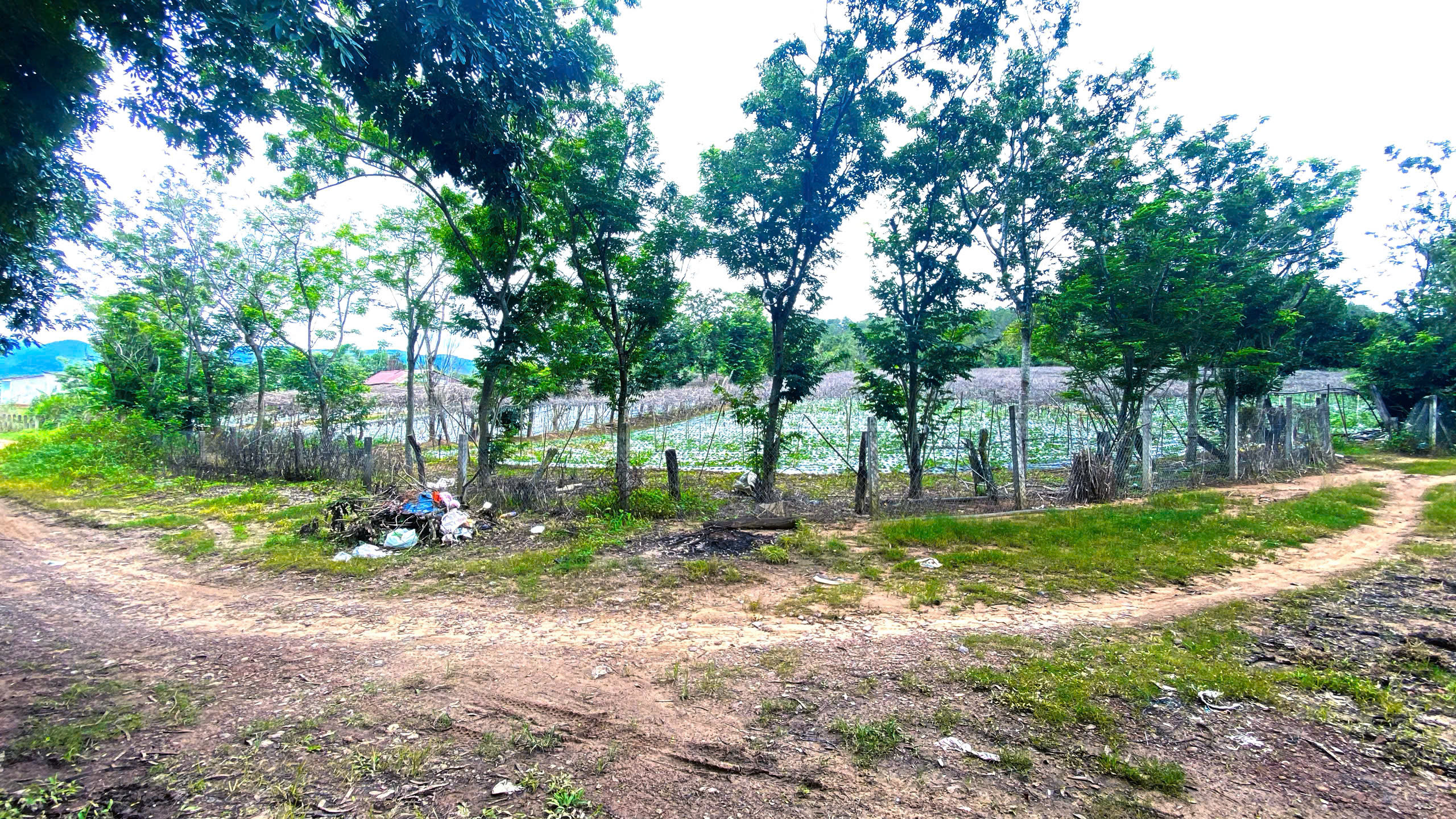 1,1 ha đất hẻm bên sông pré, phú hội cũ, đức trọng, lâm đồng