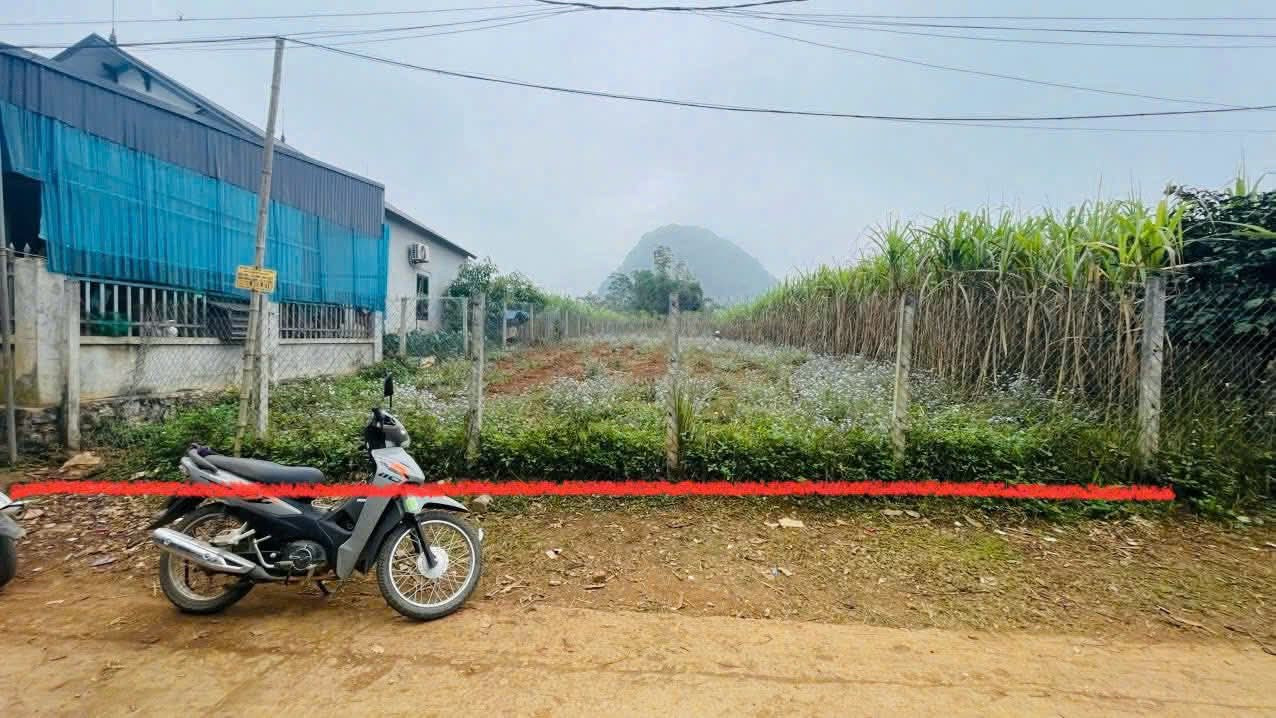 Cần Bán Lô Đất 735,9M2 Có 200M2 Đất Ở Giá Chỉ 699Triệu