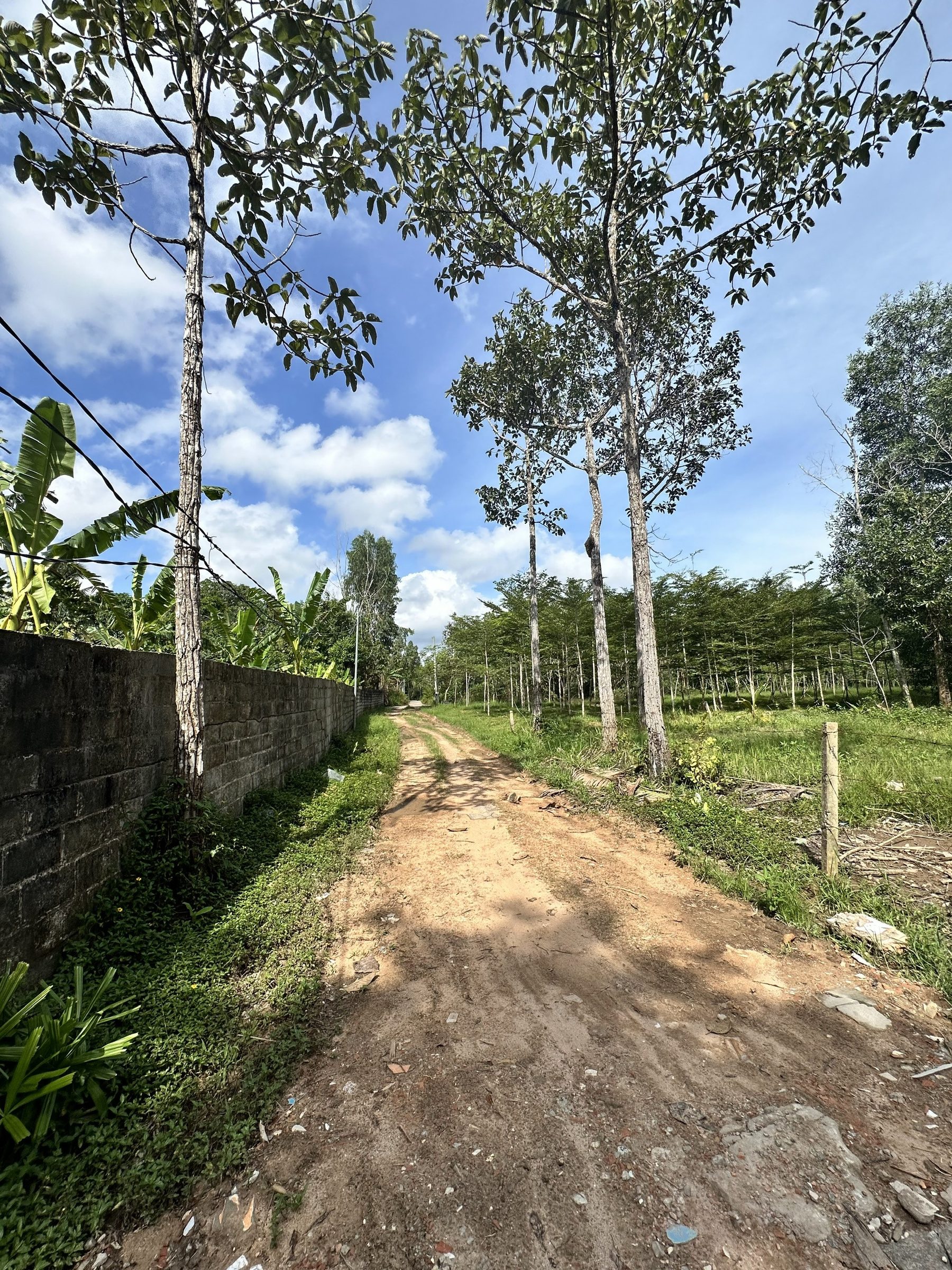 Bán Đất 3296m2 có sẵn 959.6 m2 thổ cư giá 16 tỷ tại hẻm nhà lòng Xã Dương Tơ Thành phố Phú Quốc Kiên Giang