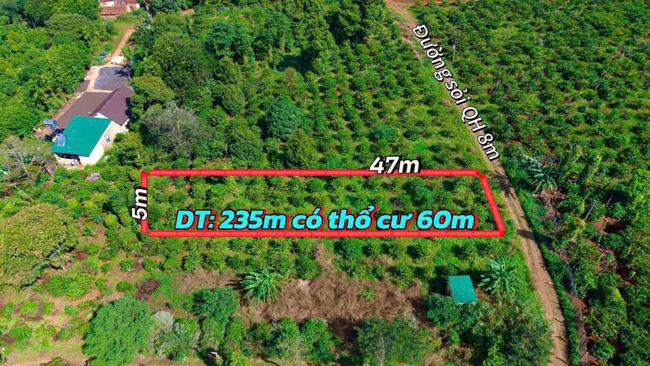 Bán đất 235m² có sẵn 60m² thổ cư ngang 5m giá 199 triệu tại Xã Ea Kiết
