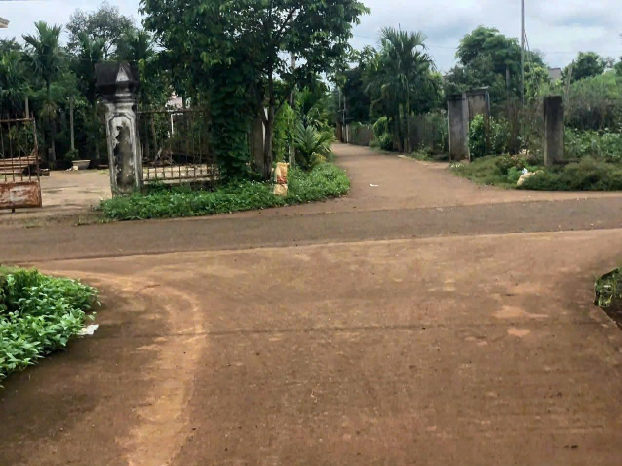 Bán đất 157m² có sẵn 60m² thổ cư ngang 10m giá 800 triệu tại Xã Ea Knuếc