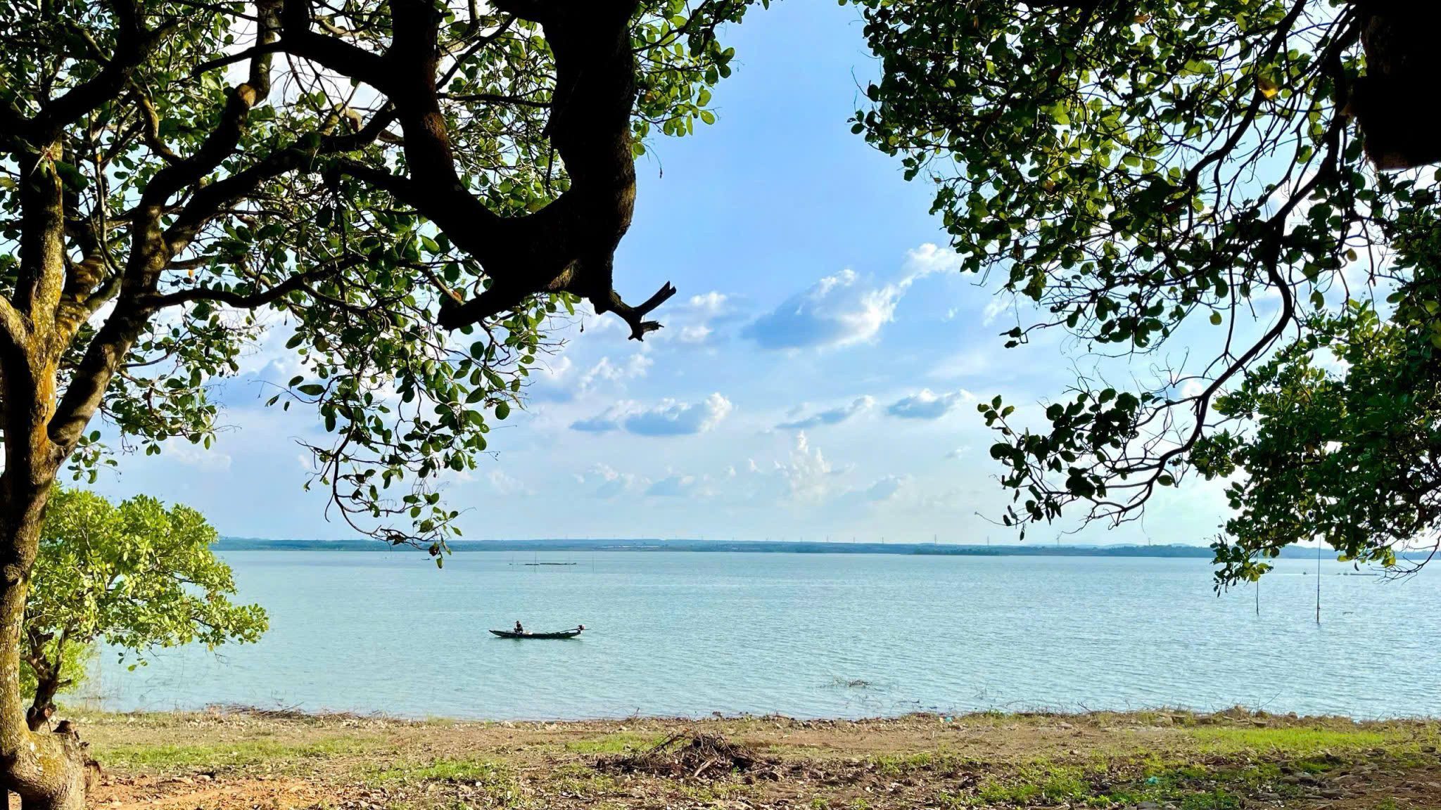 Bán Đất 5000m² thổ cư 120m² giá 9.98 tỷ tại Xã Ea Wer Đắk Lắk