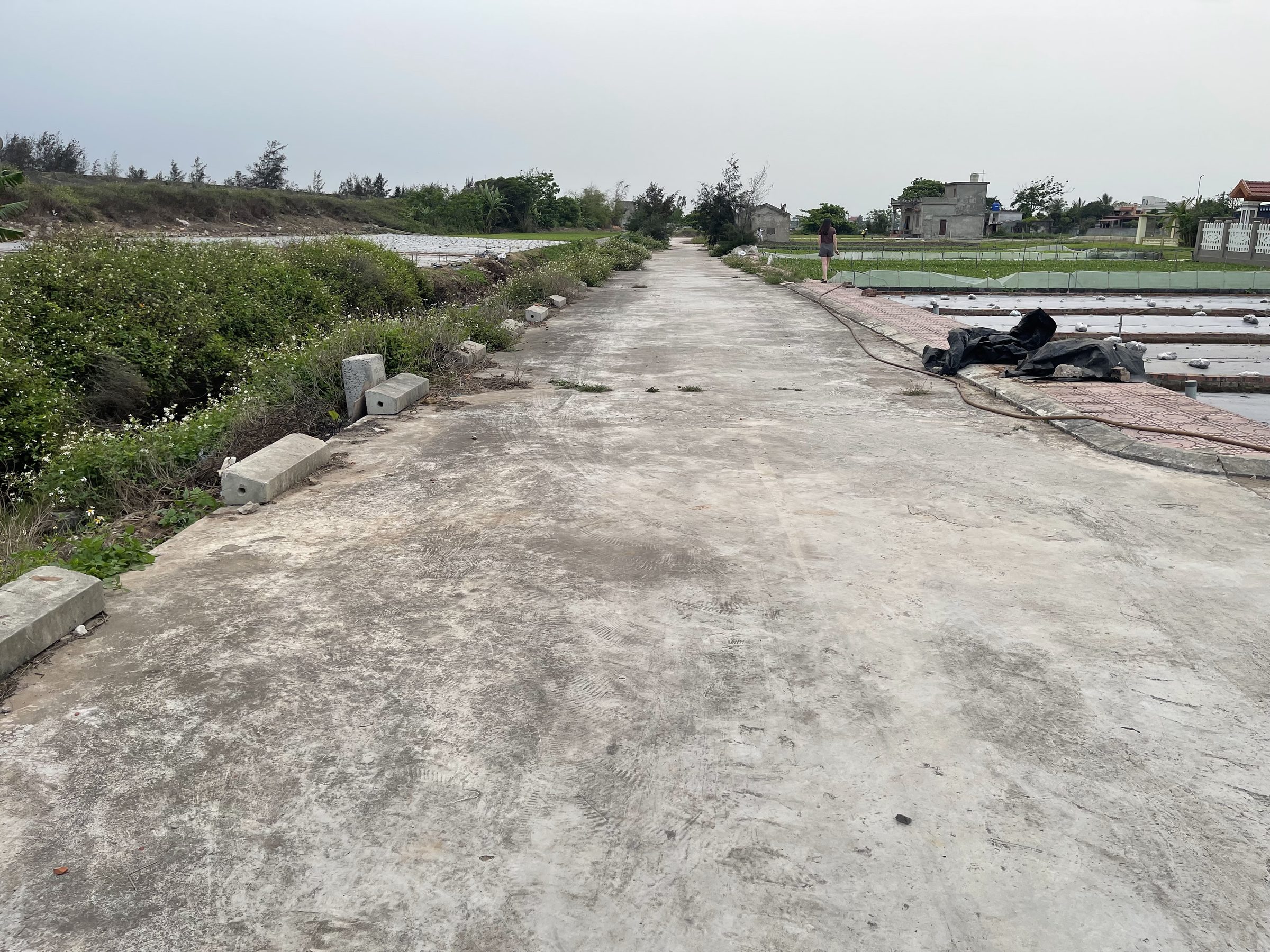 Đất mặt biển