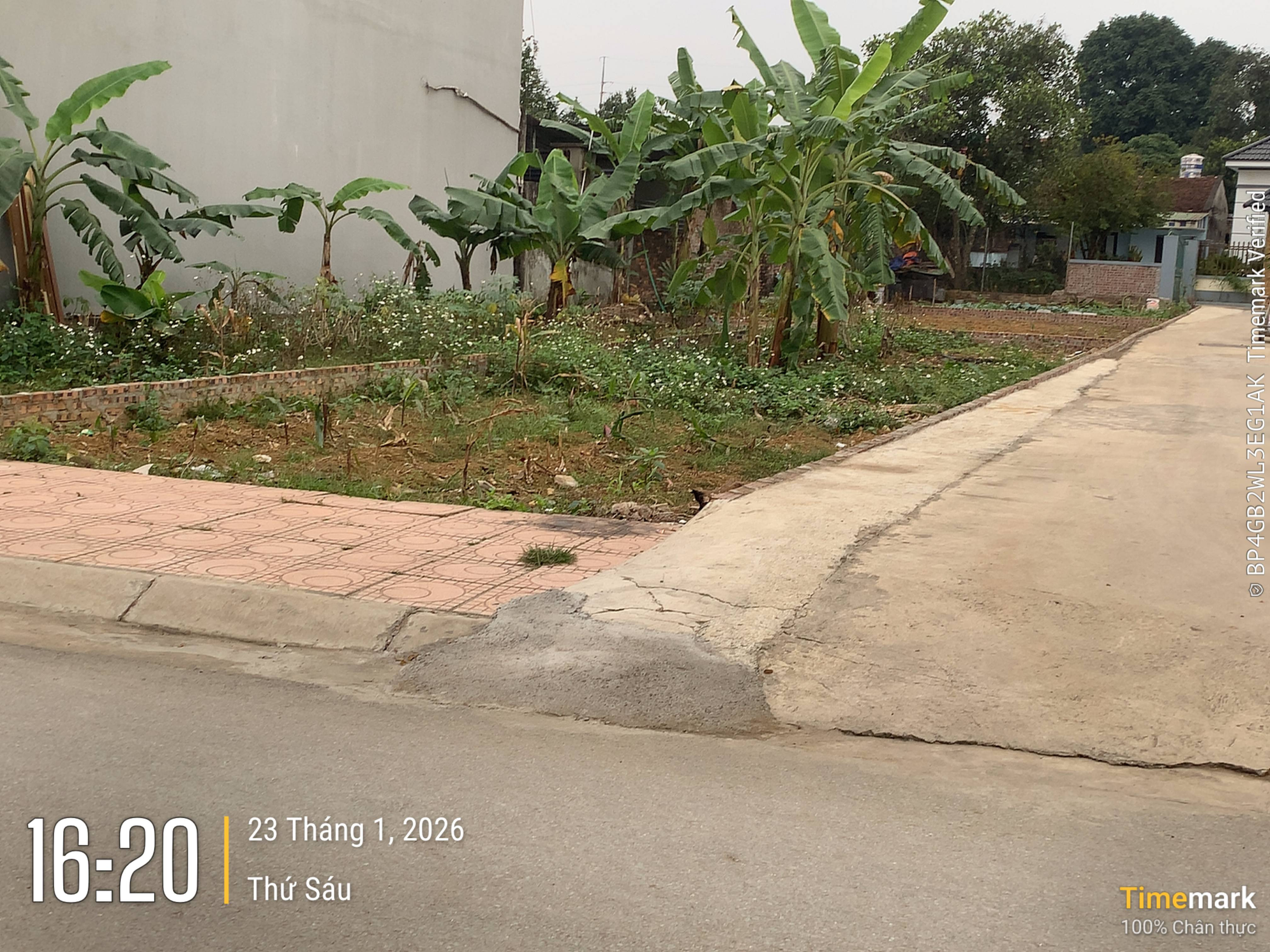 Tôi chính chủ cần bán gấp 100m² full thổ cư ngang 5m giá 4.5 tỷ tại Tân Xã trung tâm Hoà Lạc