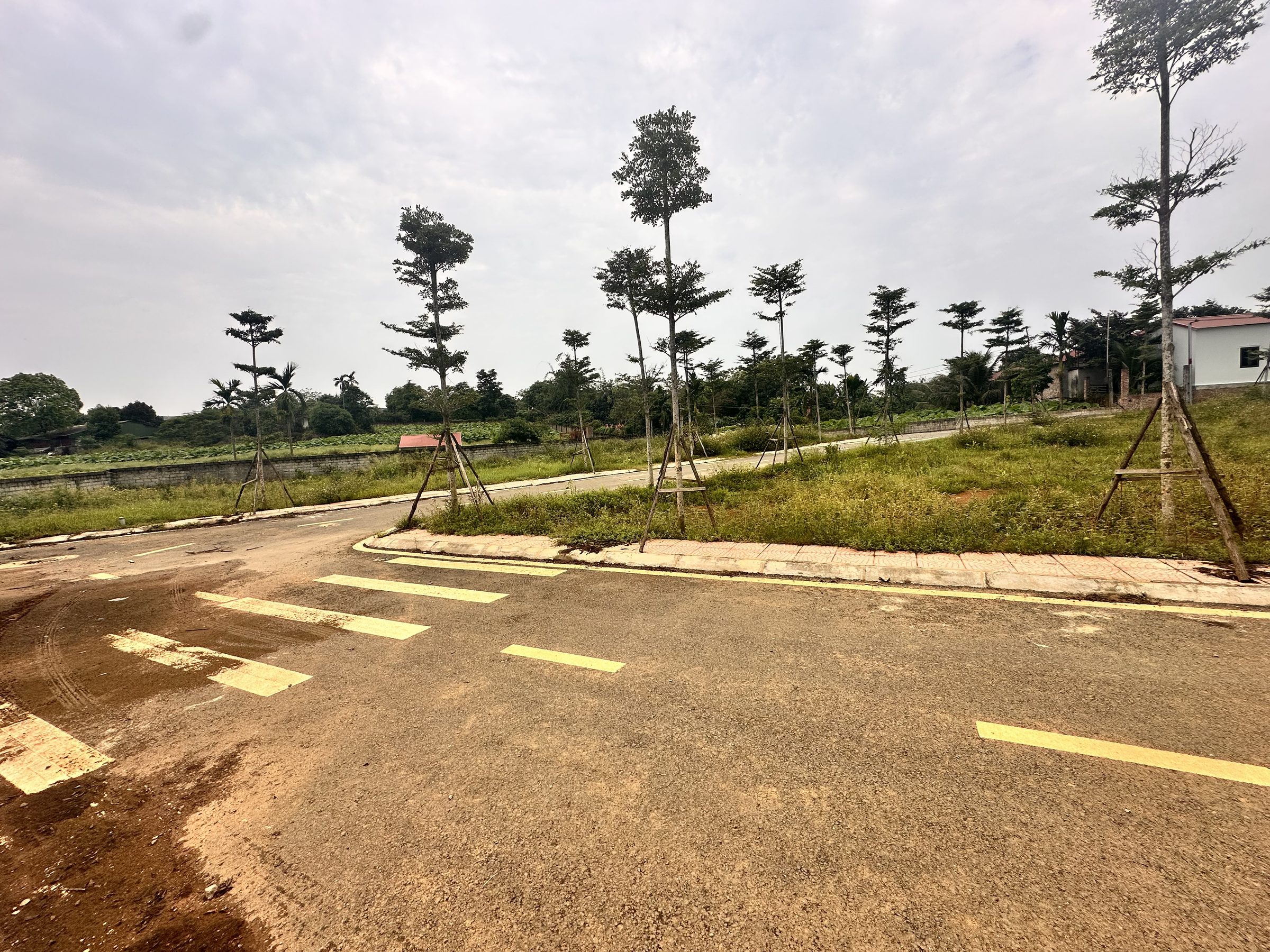 [ẢNH THẬT - VIỆC THẬT] CHÍNH THỨC MỞ BÁN LÔ ĐẤT ĐẸP NHƯ MƠ TẠI PHÚ CÁT , CHỈ TỪ 20tr/m2