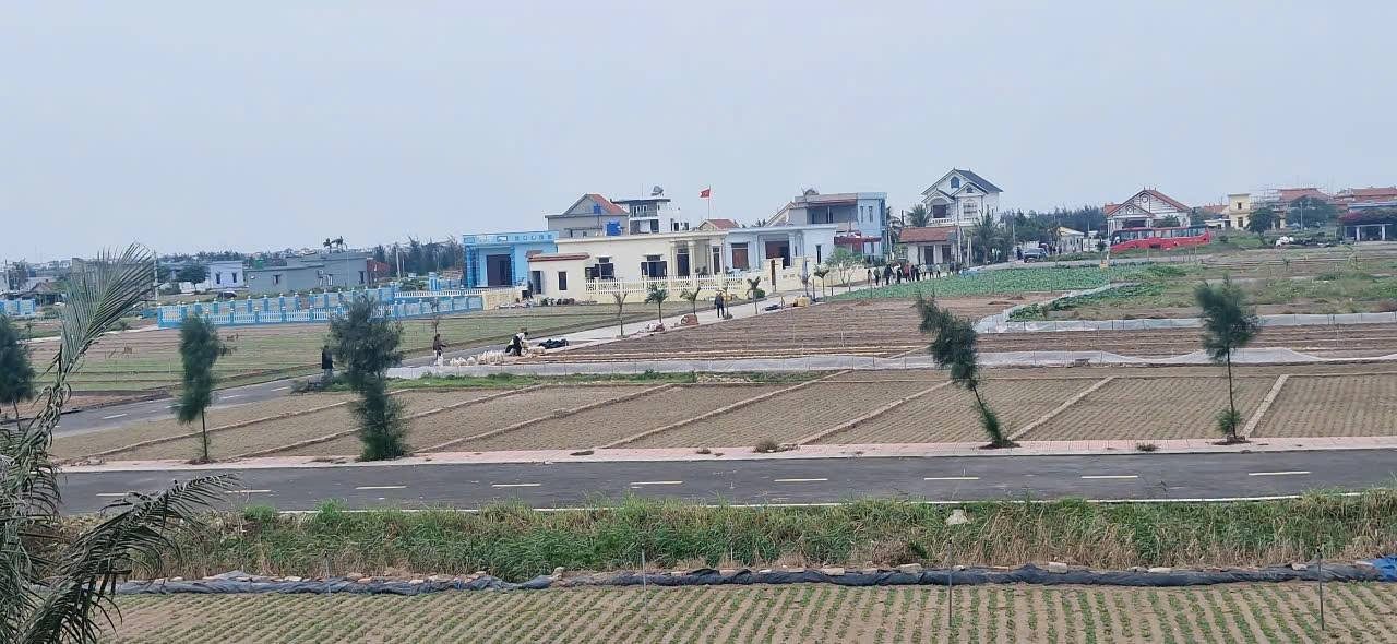 GIới đầu tư sành sỏi lại đổ dồn về biển Ninh Cơ????? 
Tập đoàn Xuân Thiện (28.000Ha)
• Quy mô cực khủng: Tổ hợp thép xanh, cảng biển quốc tế và khu công nghiệp hiện đại (14.000Ha)
• Cú hích hạ tầng: Khi các nhà máy đi vào hoạt động, hàng chục nghìn chu