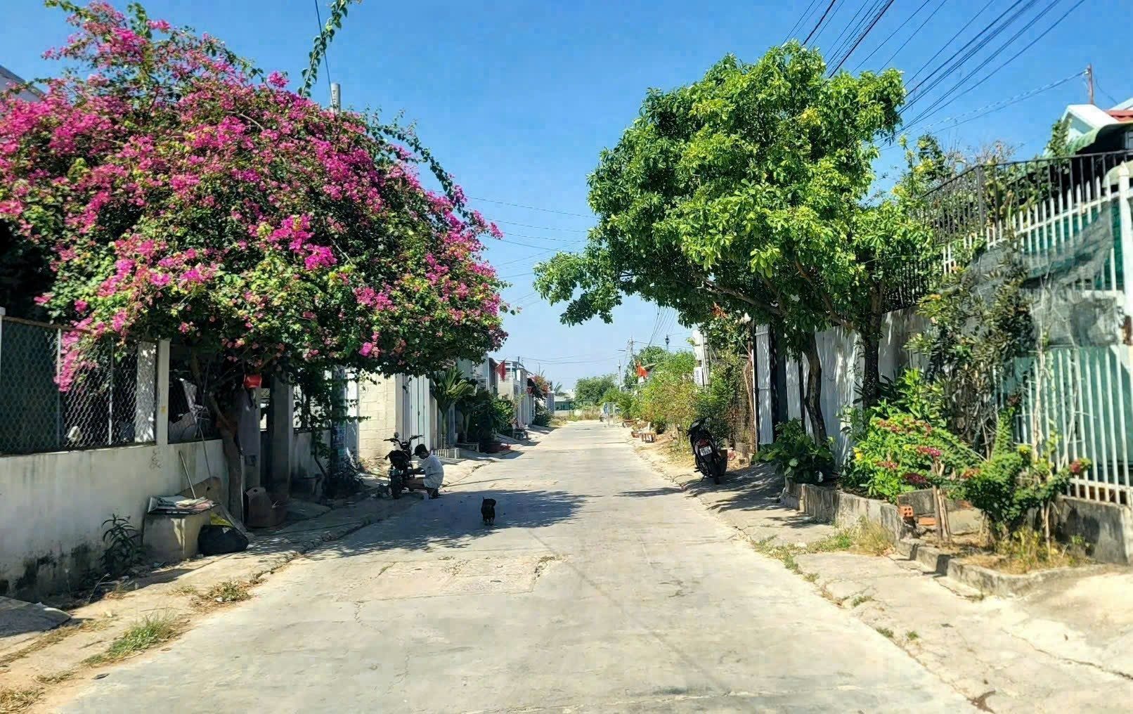 Bán đất 95m2m² có sẵn 95m² thổ cư ngang 5m giá 720 triệu tại Xã Hàm Liêm