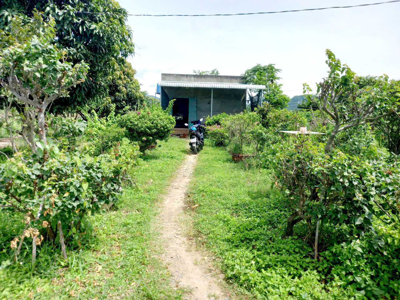 Ngộp Quá Bán Nhanh-Đất Thôn 2-Hàm Liêm-Lâm Đồng-10.300m2+11.400m2