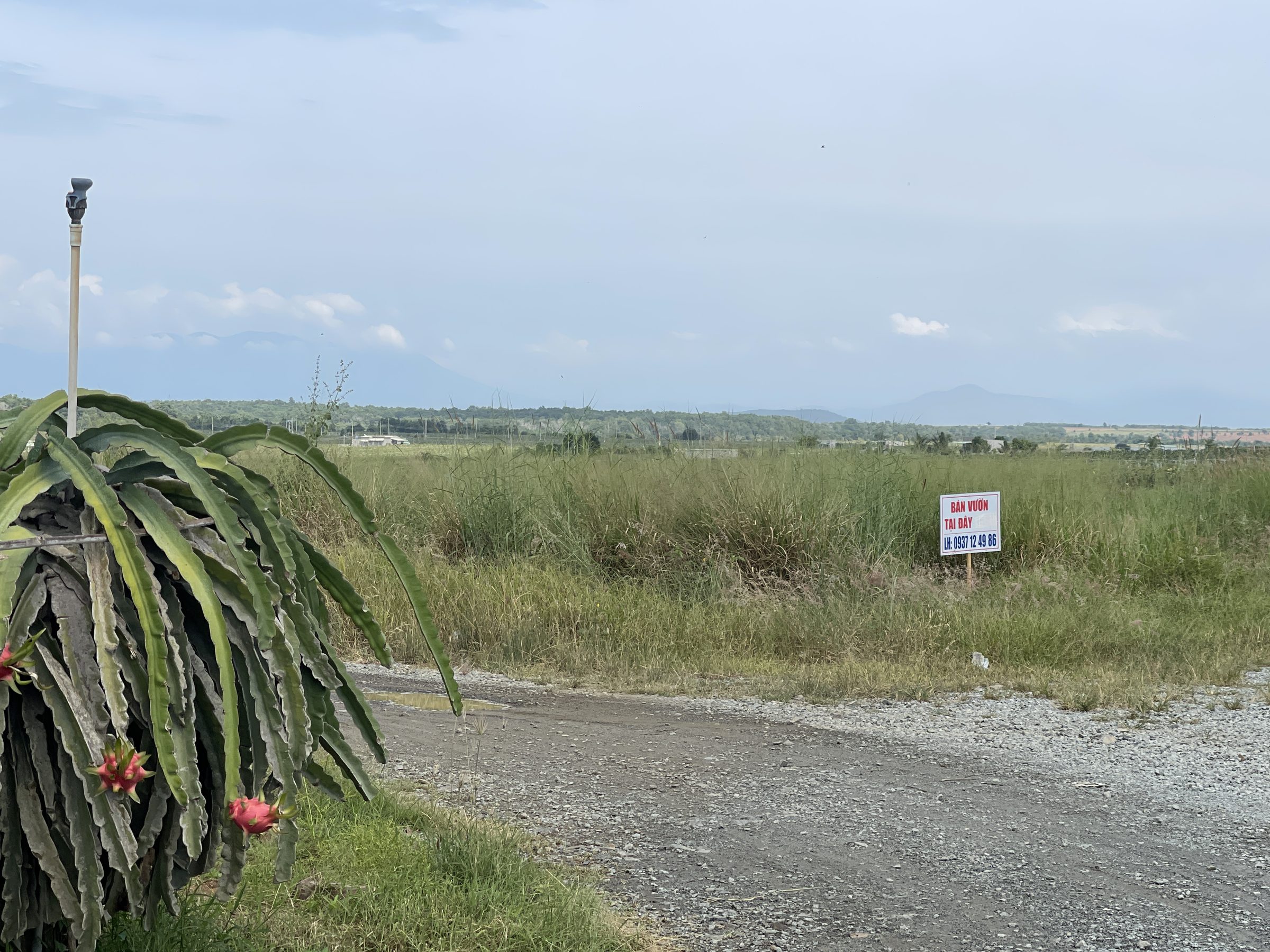 1,9ha Đất cây lâu năm trên đồi view cao, đã có điện, nước ngầm khoan là có.