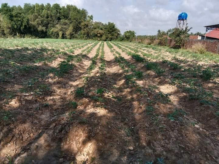 Bán đất 4000m² ngang 42m giá 2.1 tỷ Xã Hảo Đước