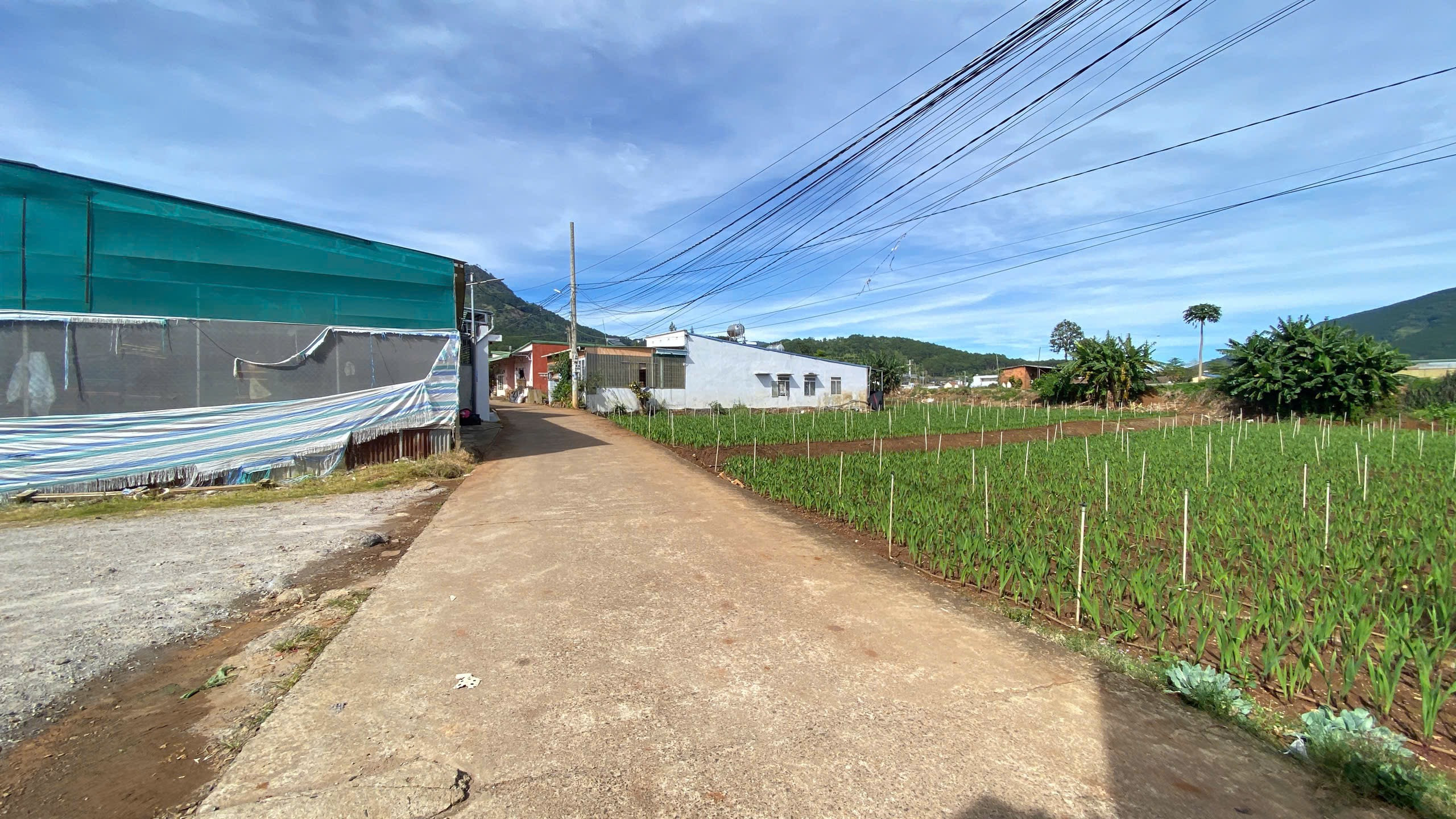 332m2 Gần Phi nôm. xã Hiệp Thạnh Lâm Đồng.