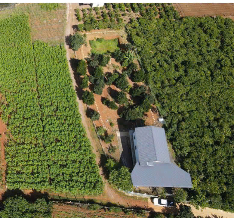 Nhà Vườn ĐỨC TRỌNG, 1667m2 gần sân bay cao tốc